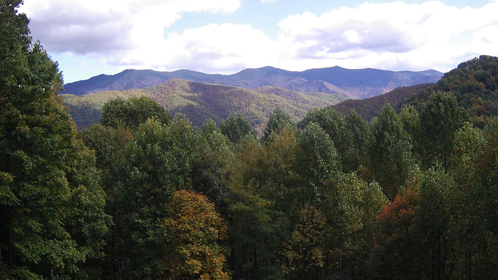 click for next image... slideshow image