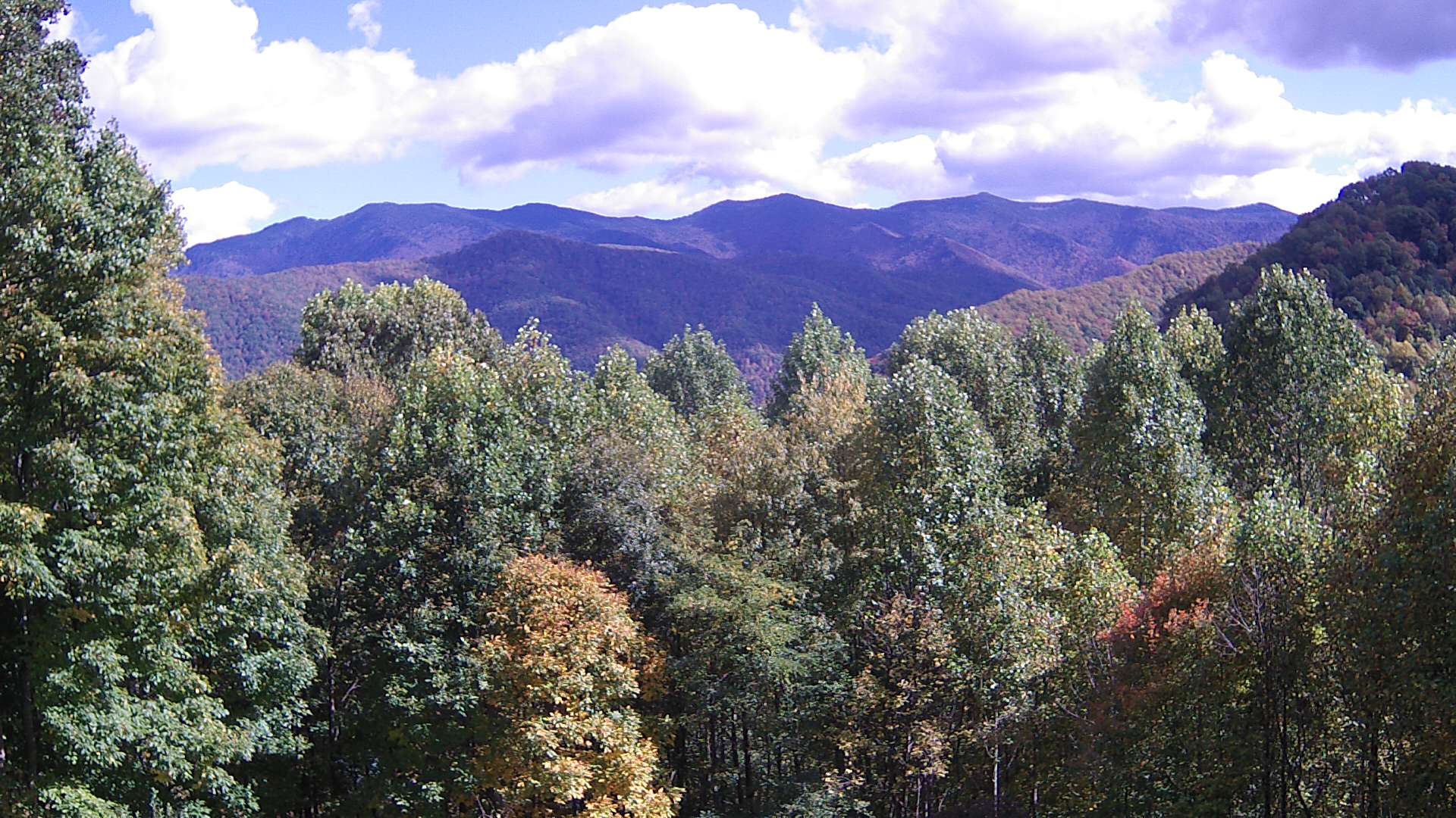 click for next image... slideshow image