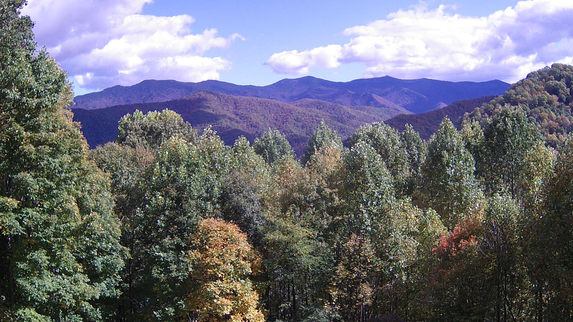 click for next image... slideshow image