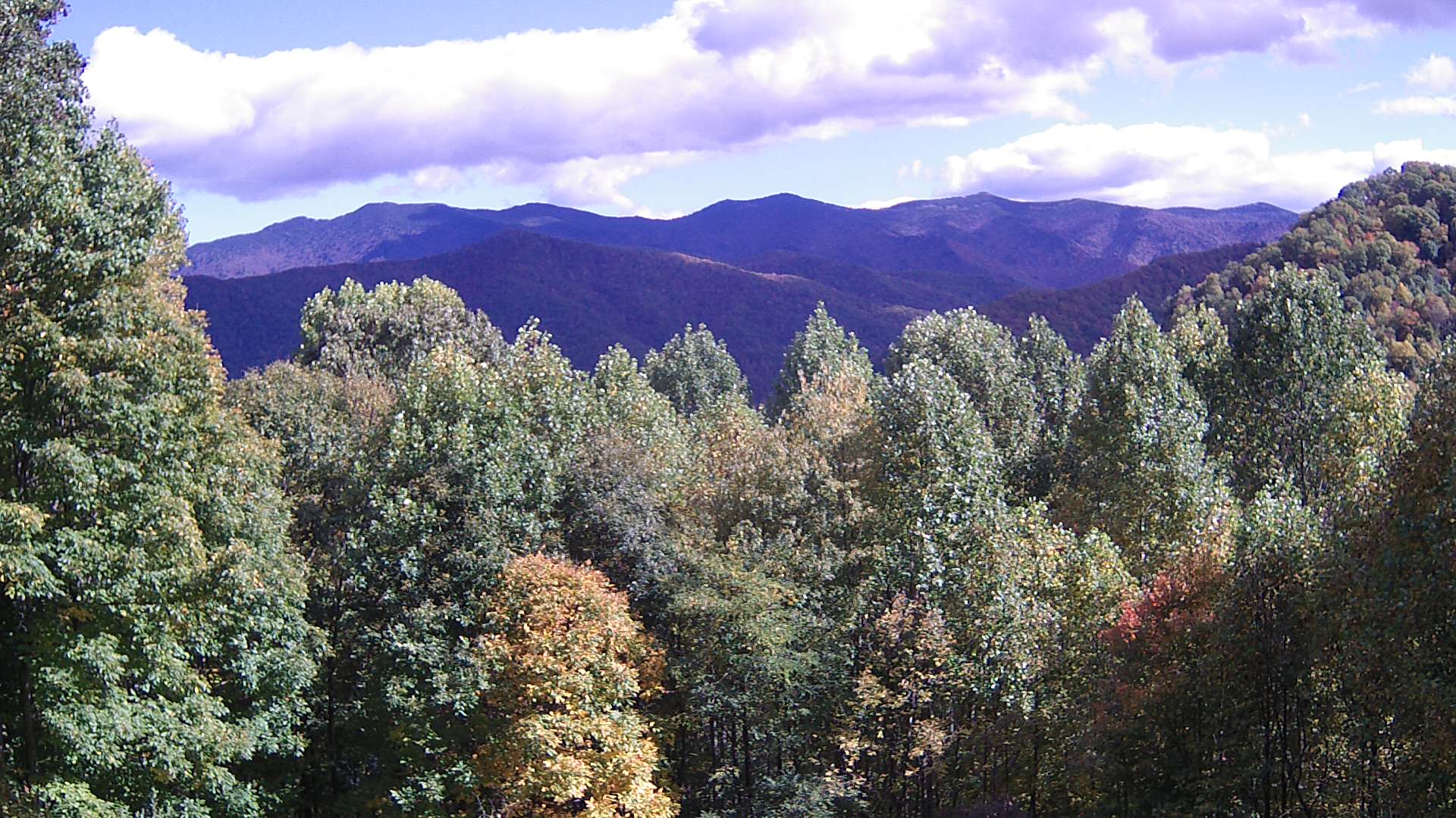 click for next image... slideshow image