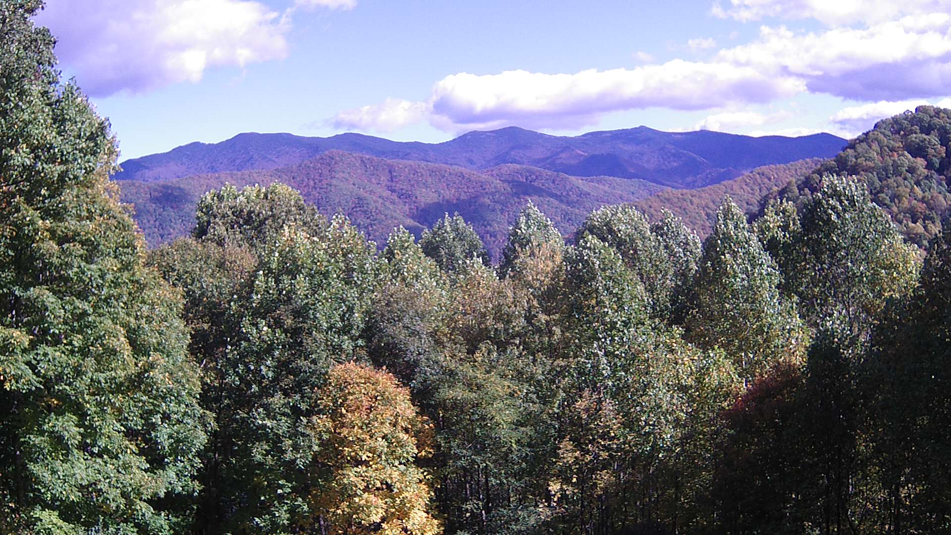 click for next image... slideshow image