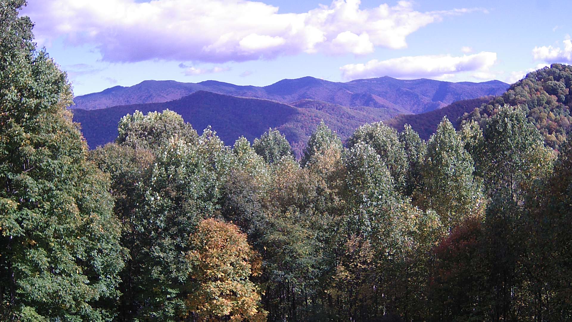 click for next image... slideshow image