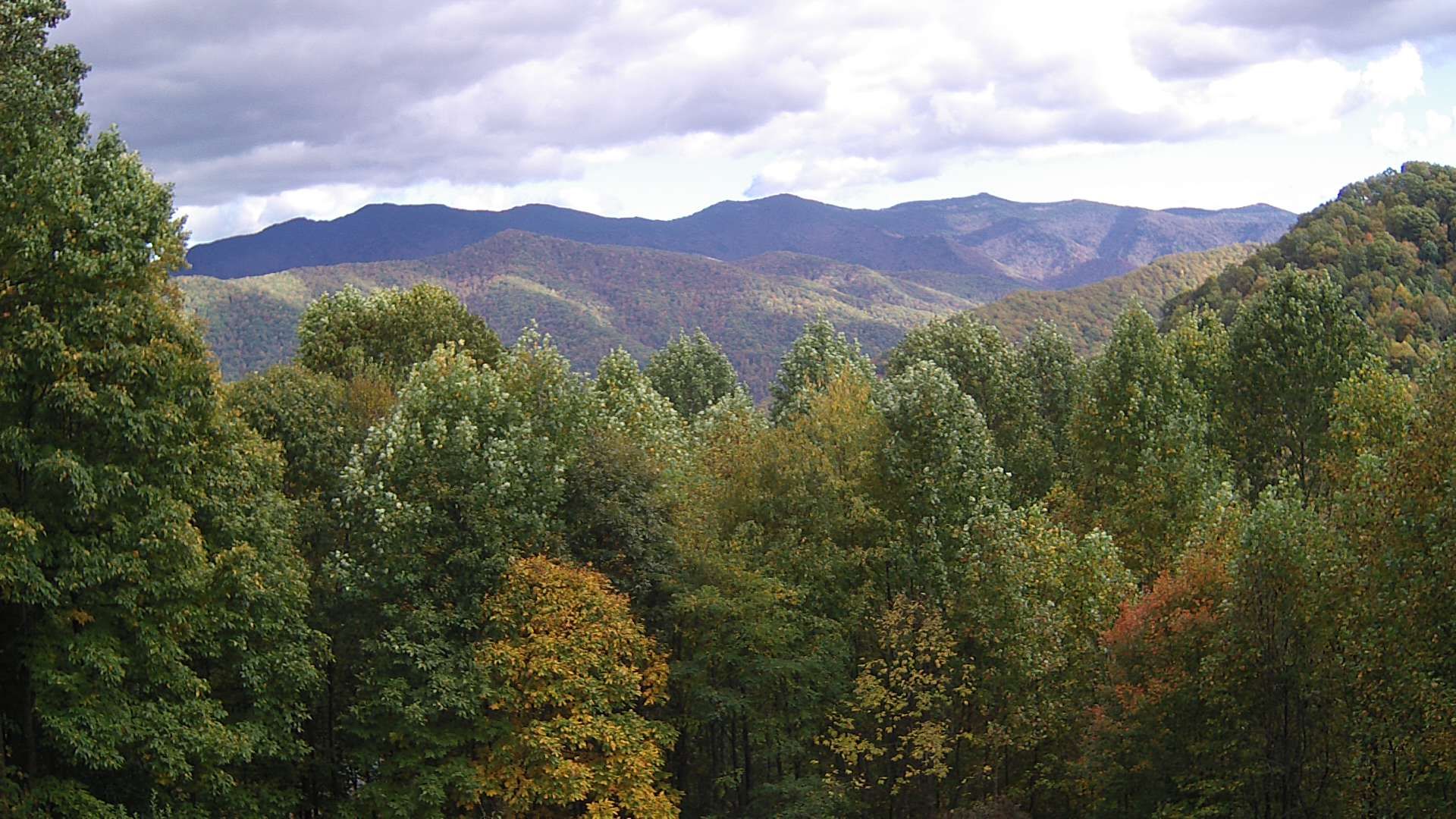 click for next image... slideshow image