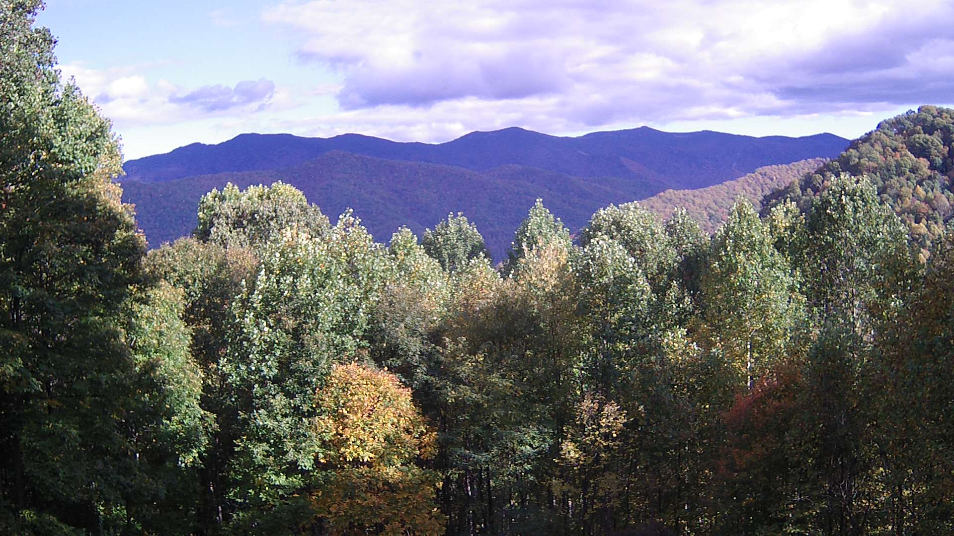 click for next image... slideshow image