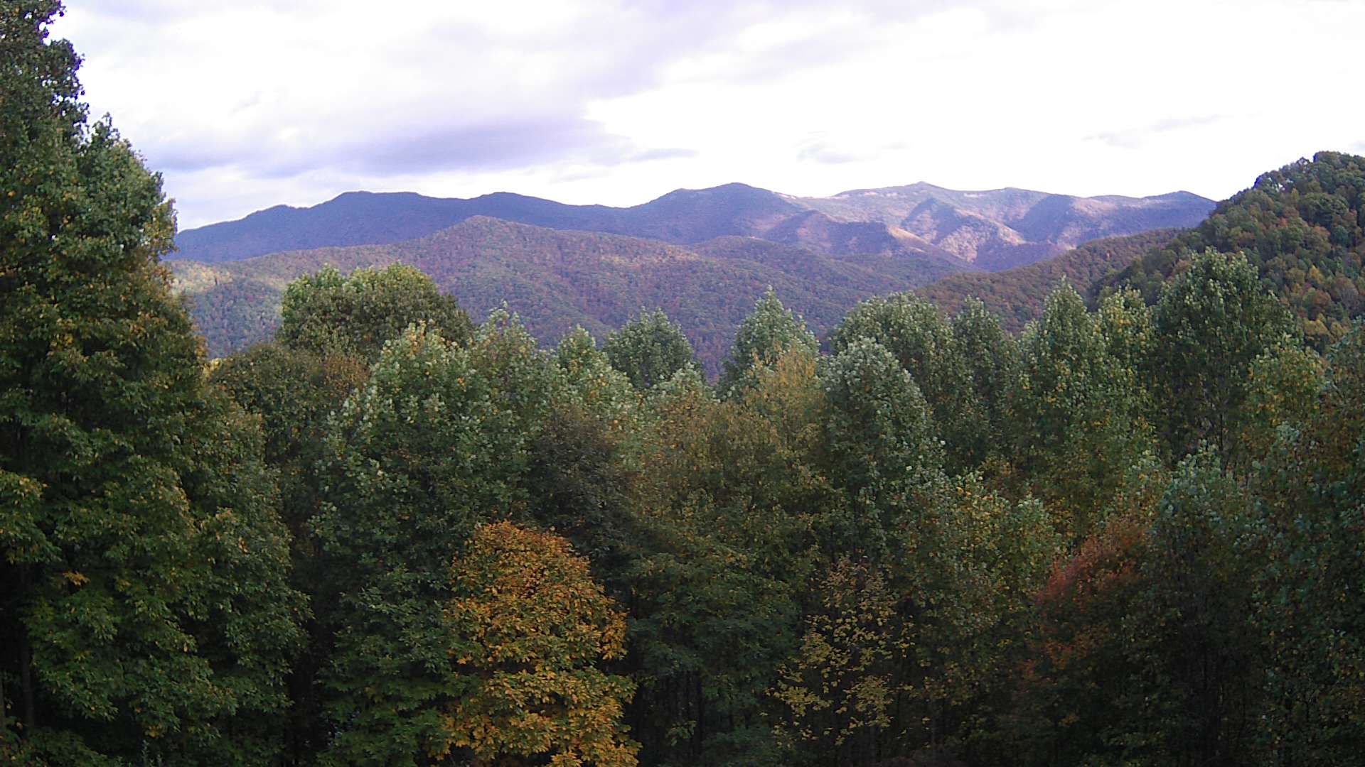 click for next image... slideshow image