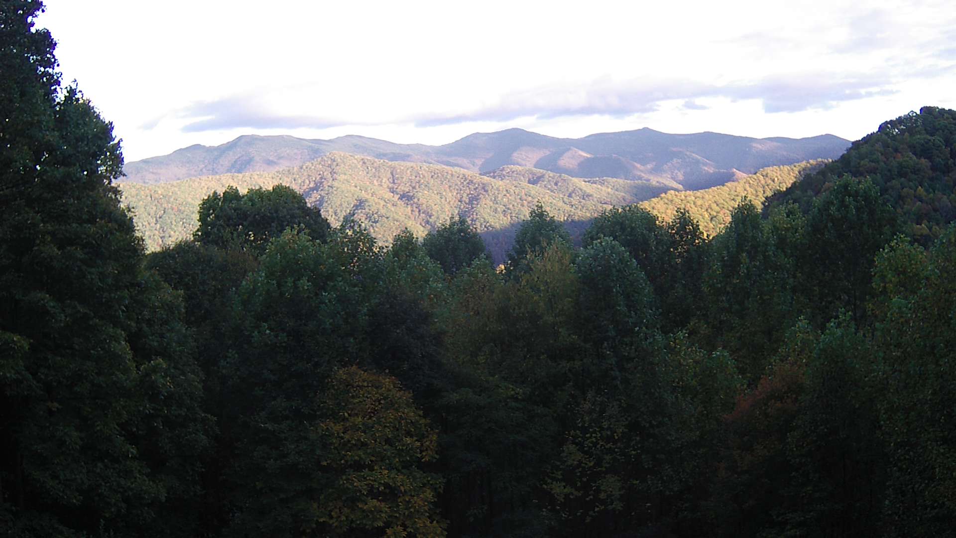 click for next image... slideshow image