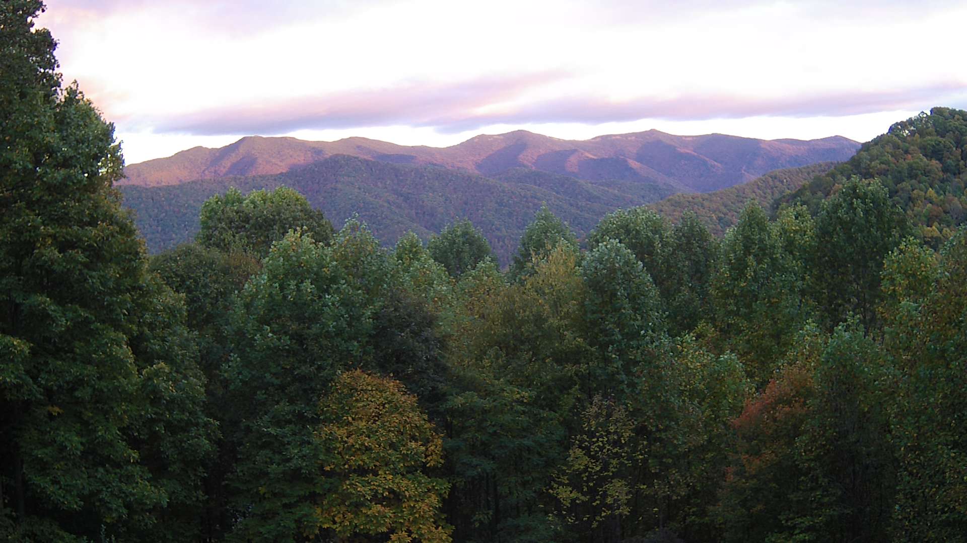 click for next image... slideshow image