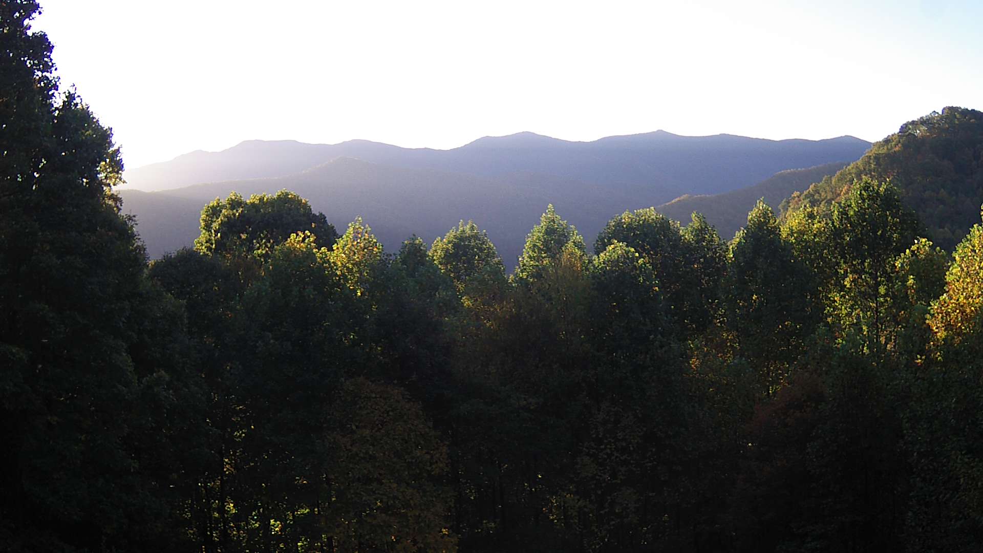 click for next image... slideshow image