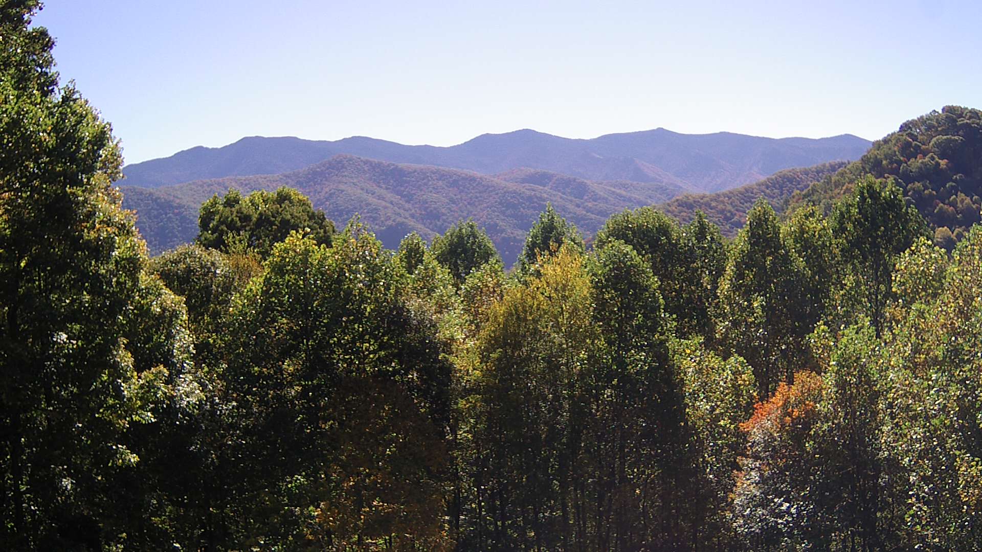 click for next image... slideshow image