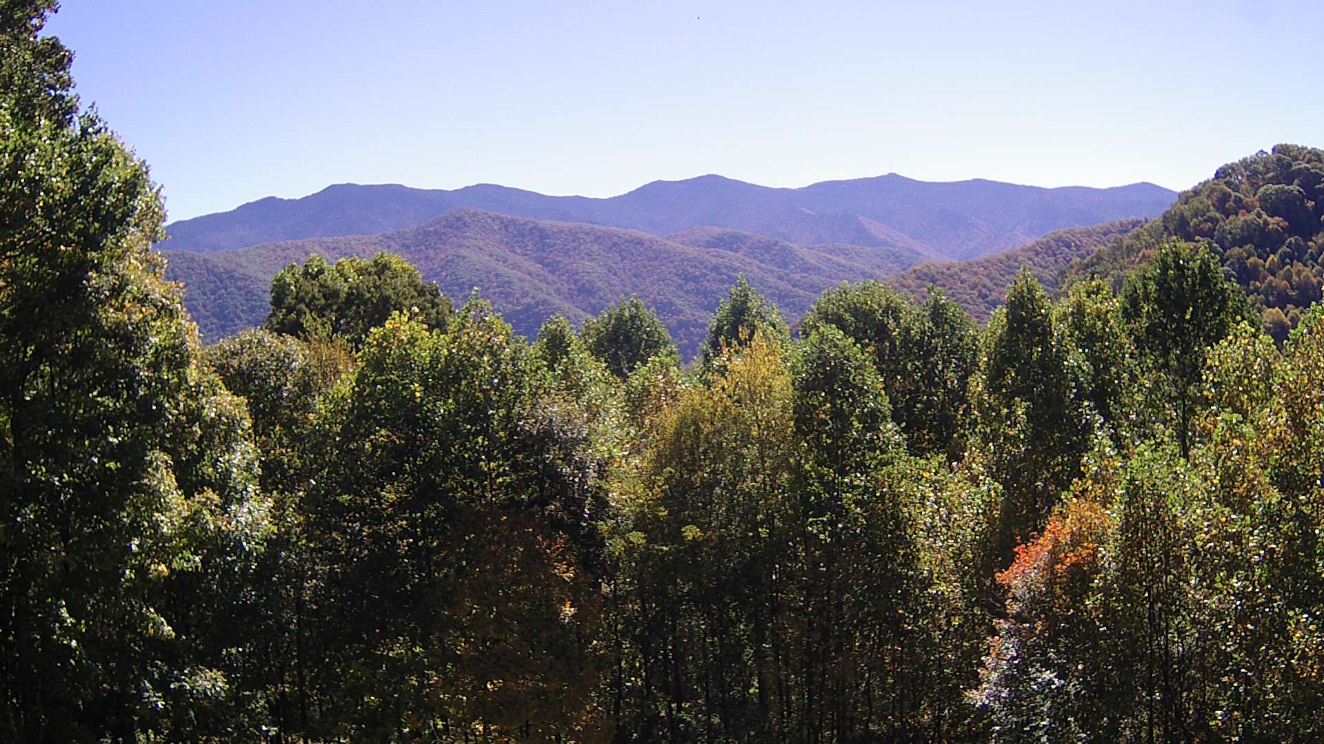 click for next image... slideshow image