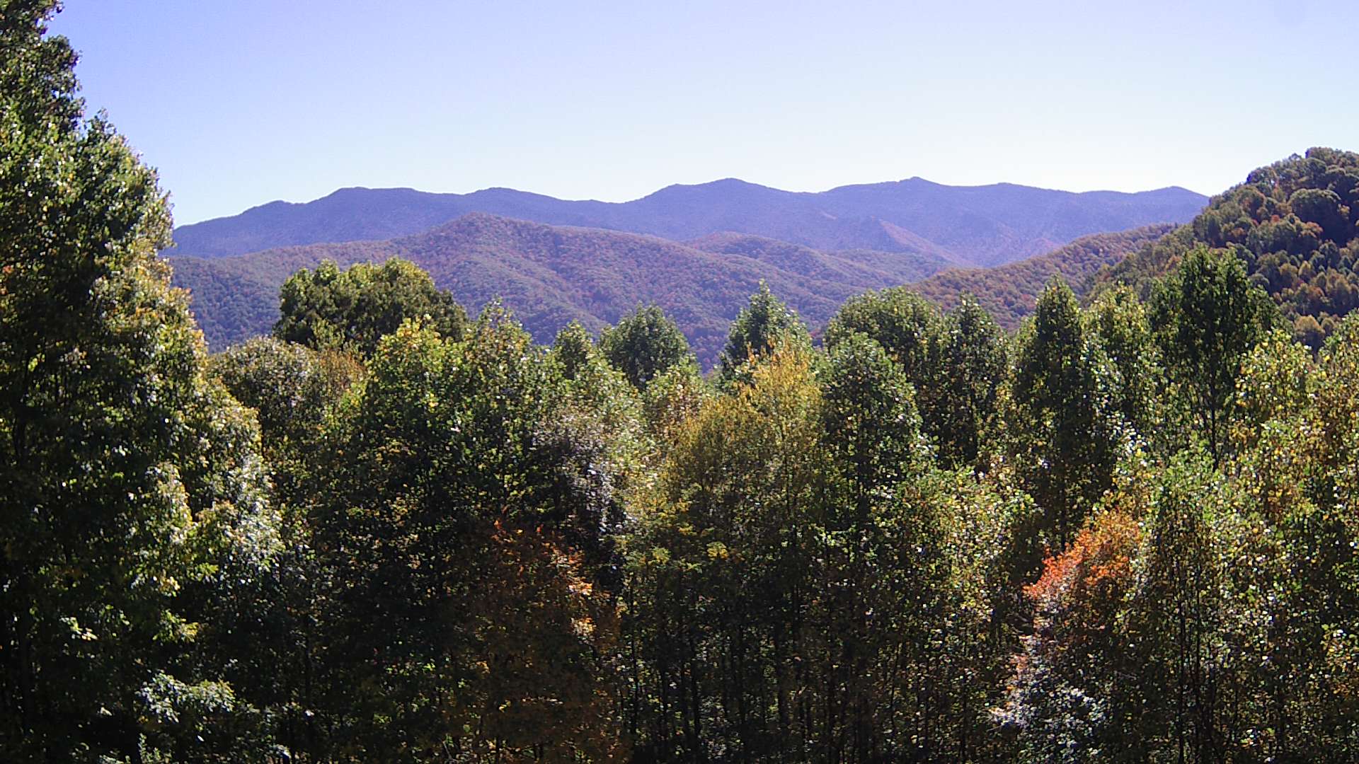 click for next image... slideshow image