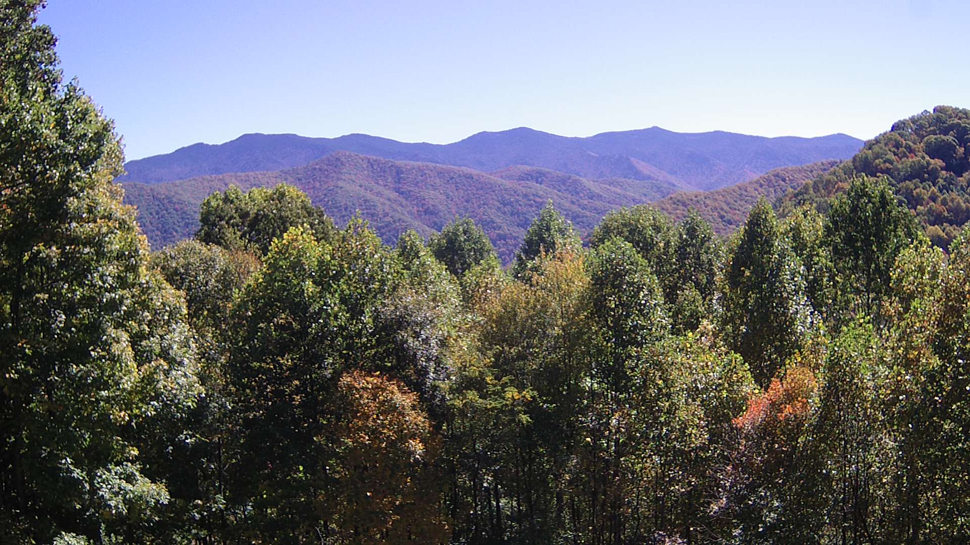 click for next image... slideshow image