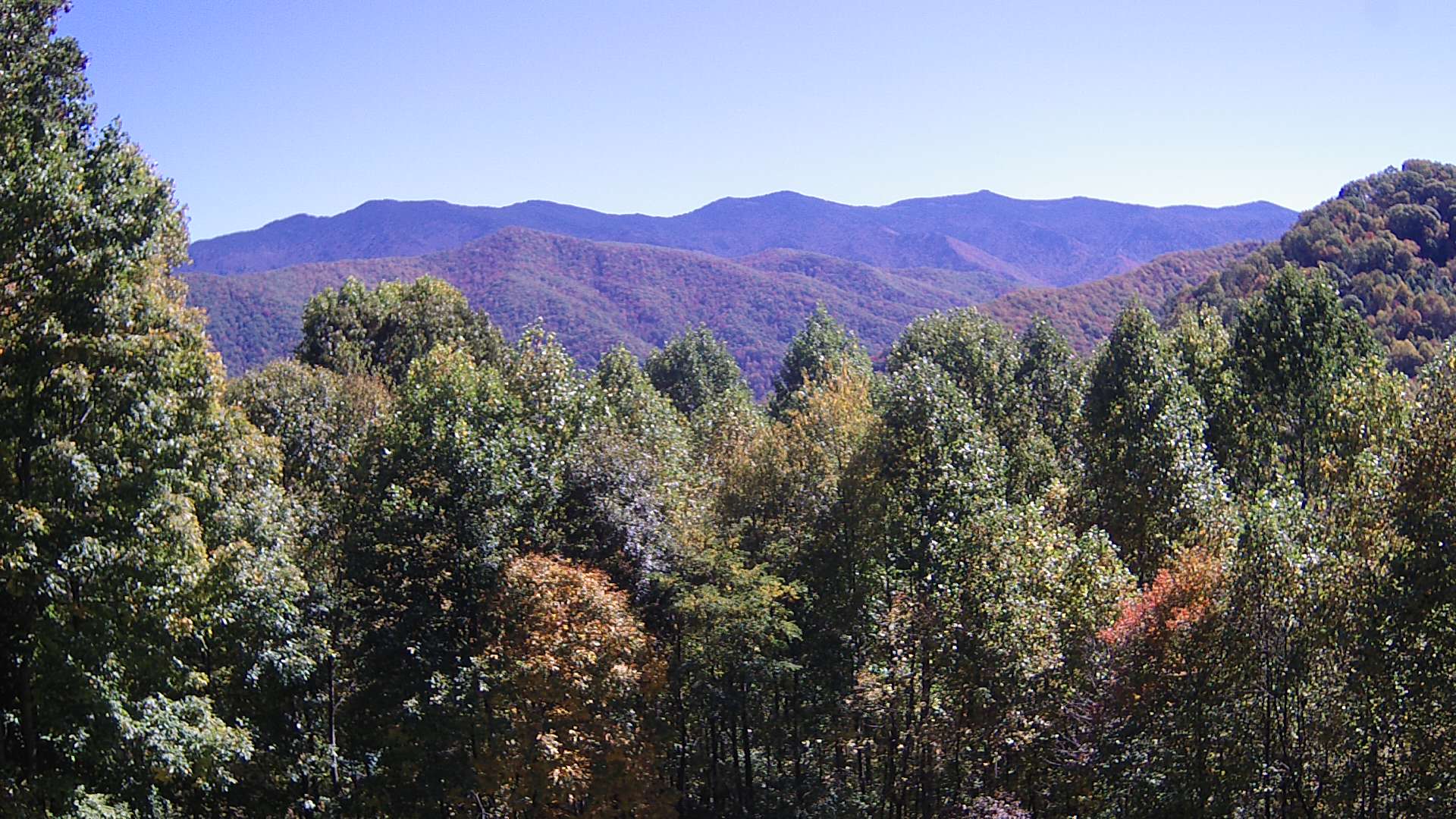 click for next image... slideshow image