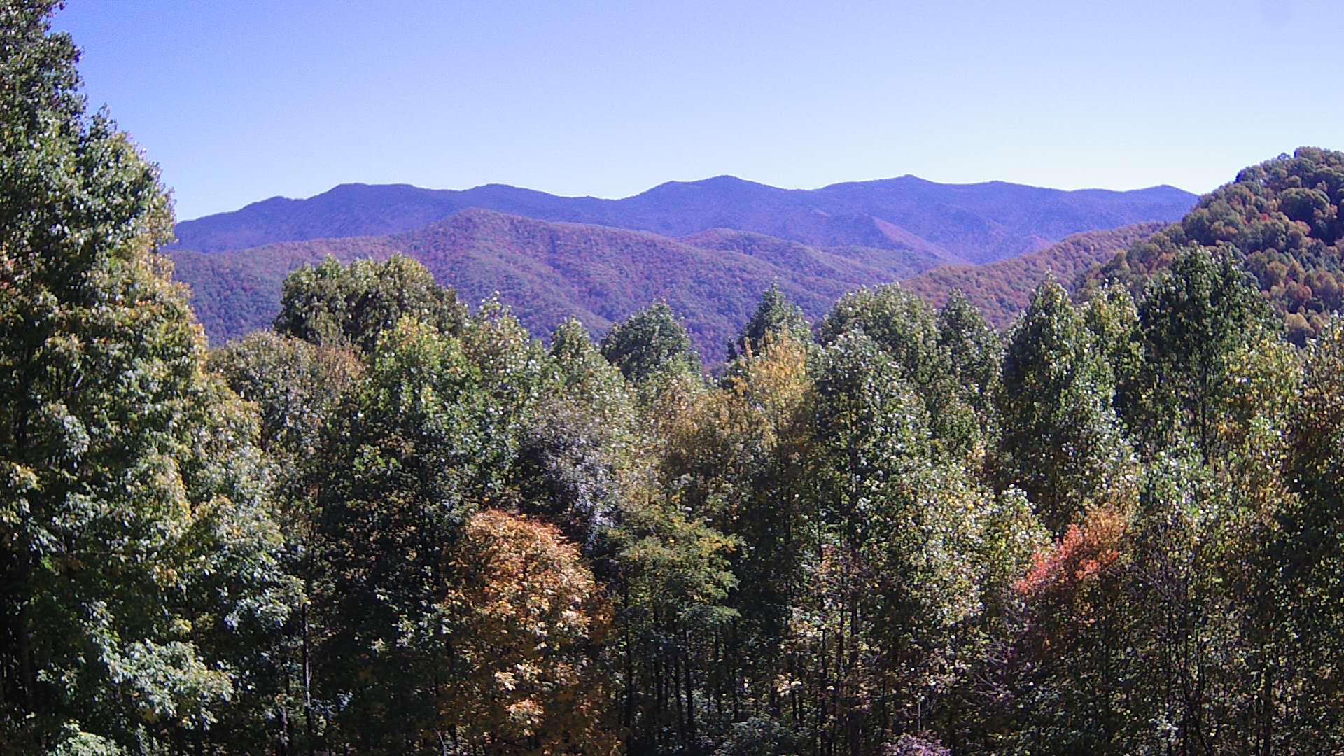 click for next image... slideshow image