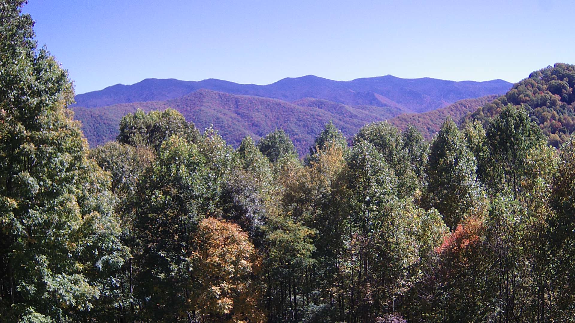 click for next image... slideshow image