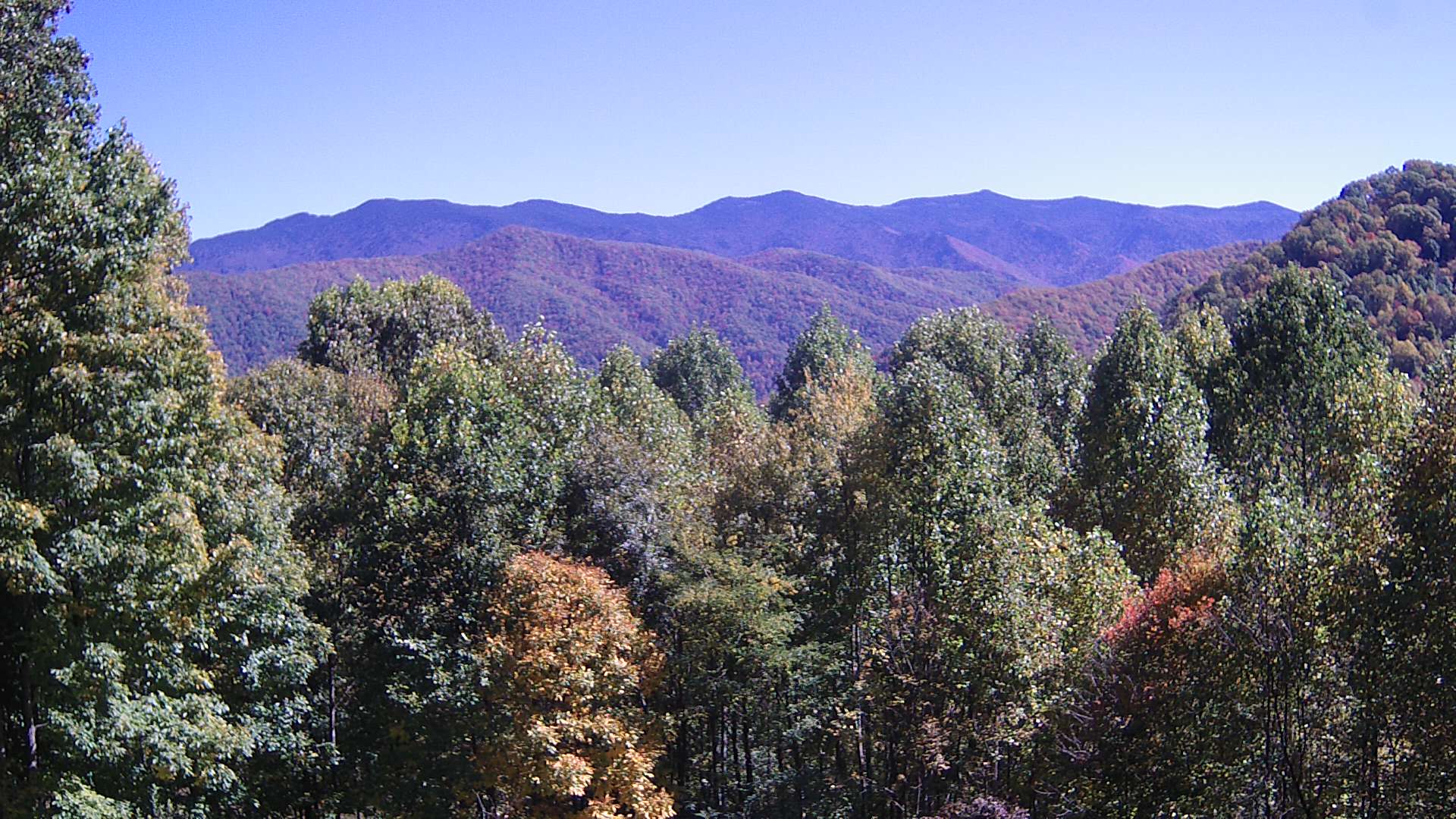 click for next image... slideshow image