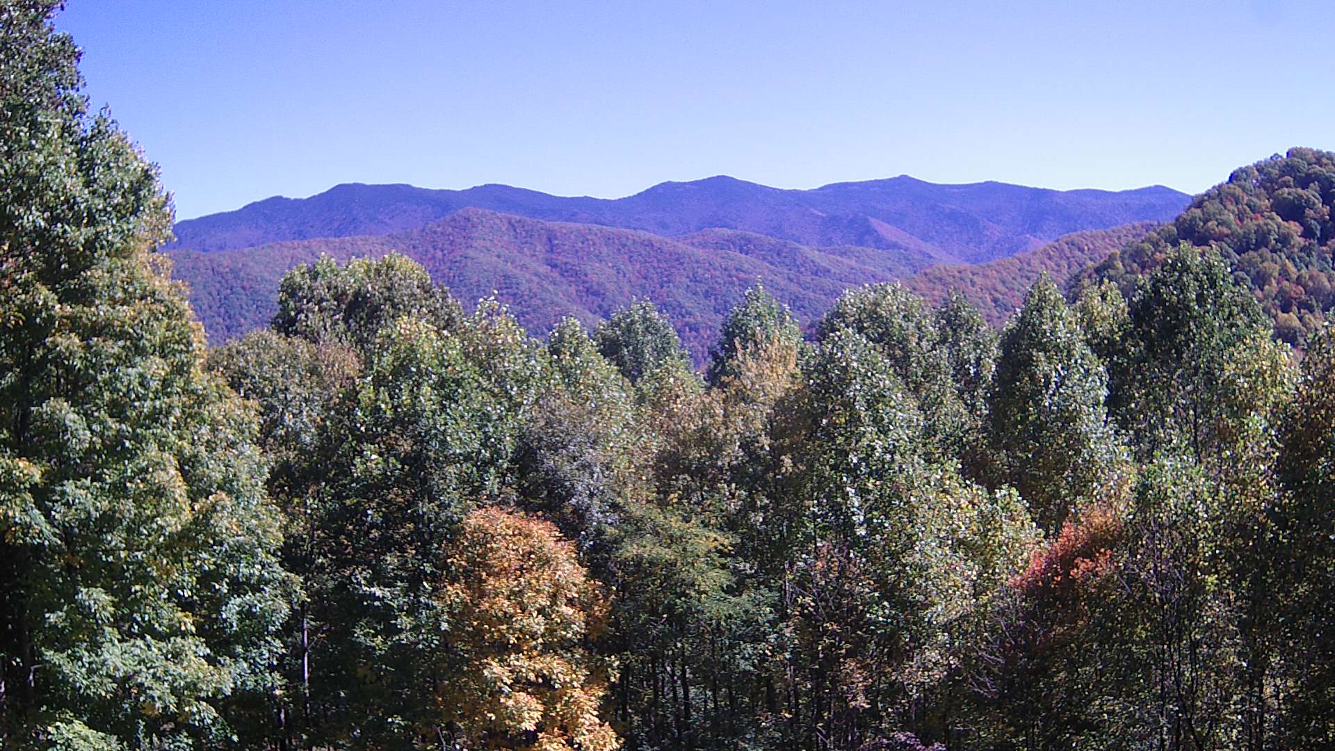 click for next image... slideshow image