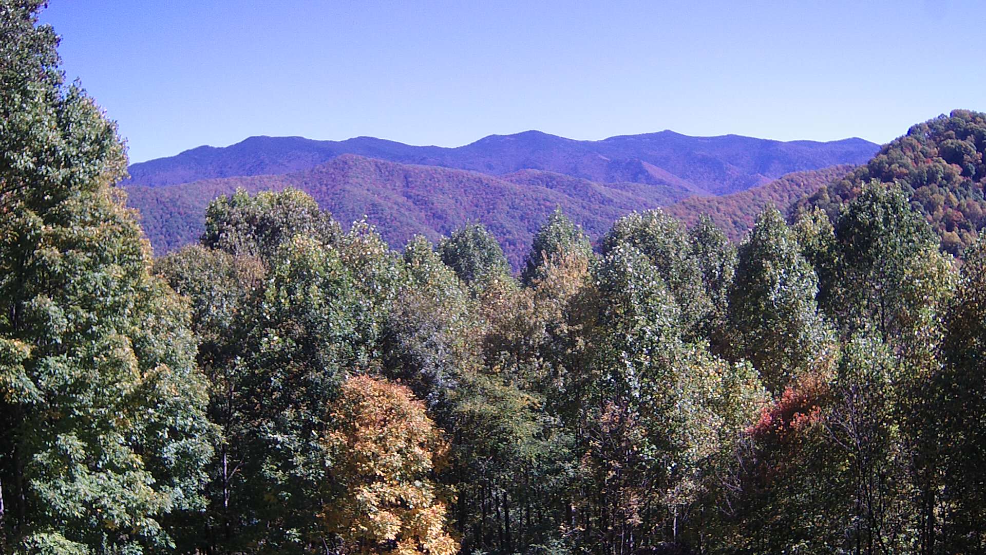 click for next image... slideshow image