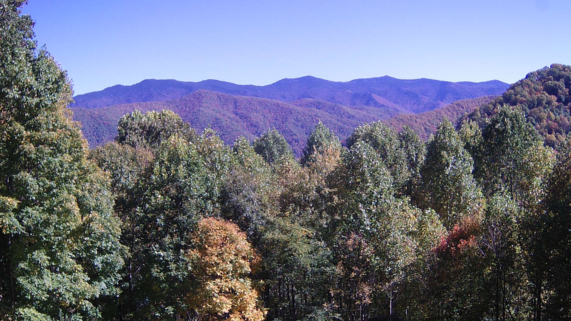 click for next image... slideshow image