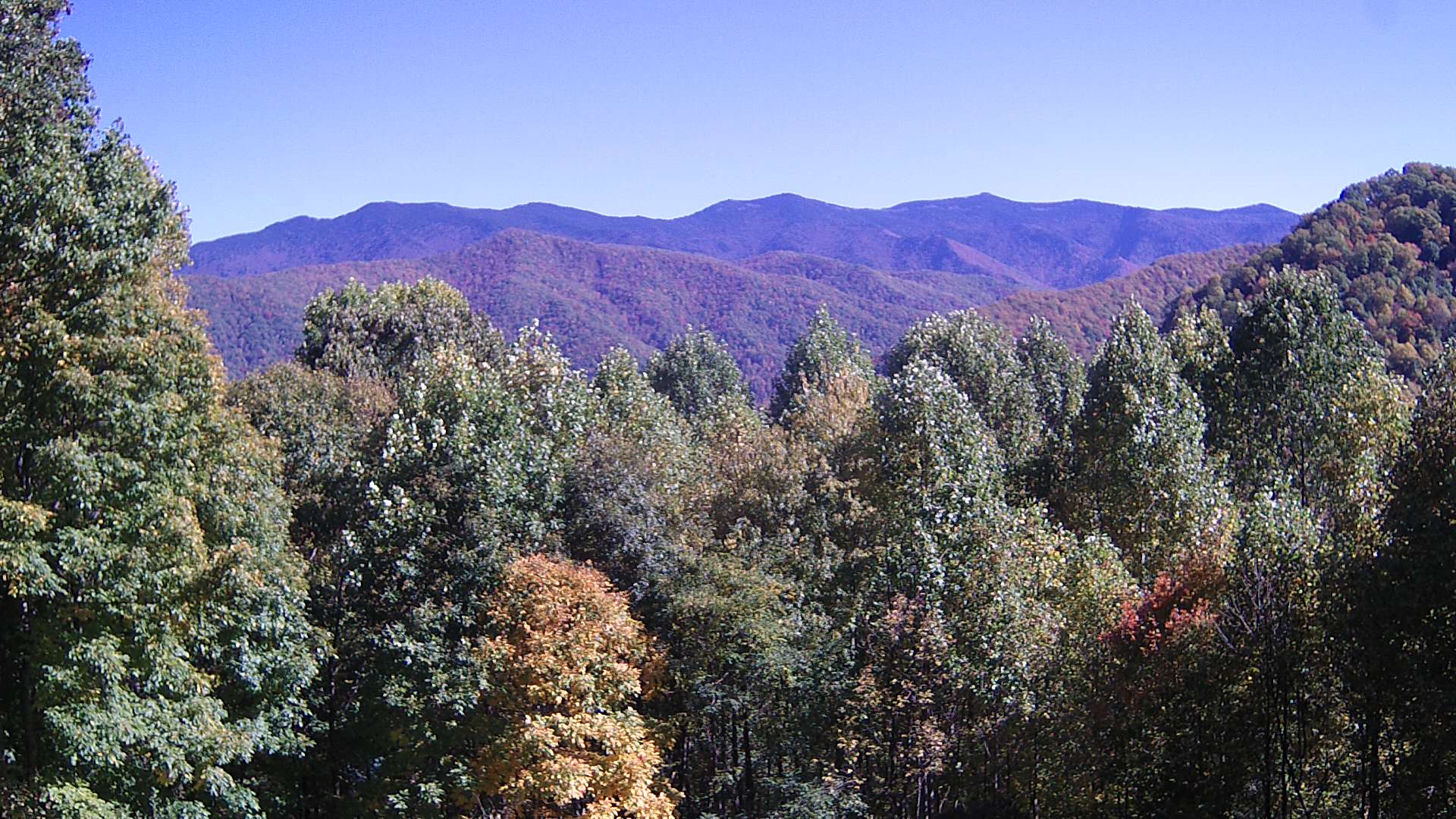 click for next image... slideshow image