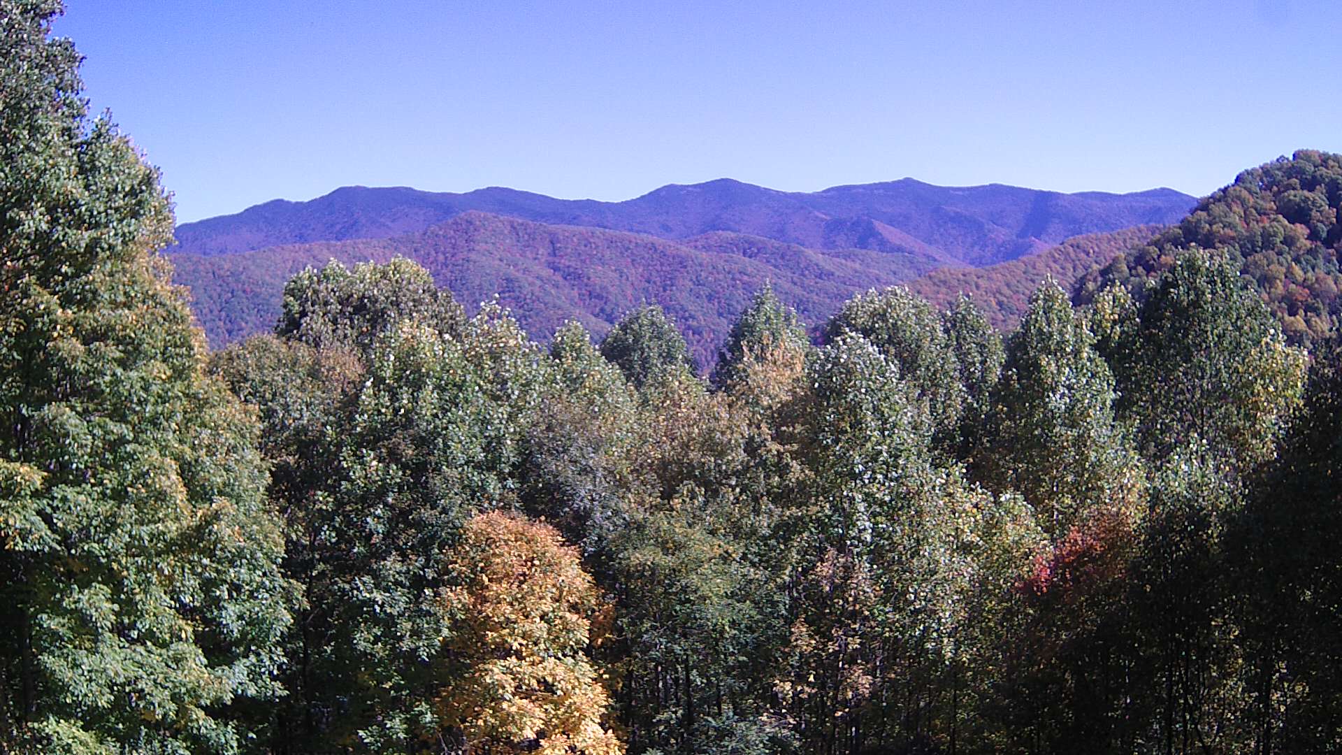 click for next image... slideshow image