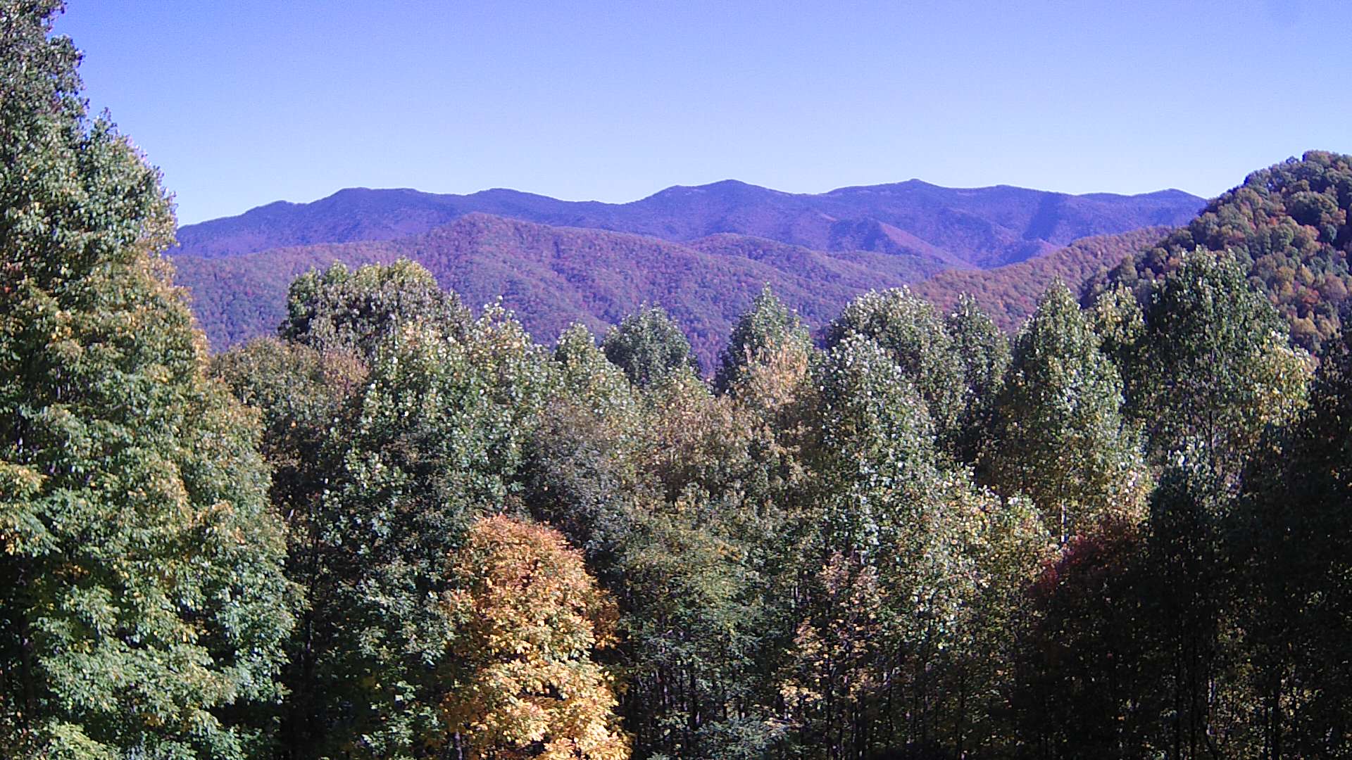 click for next image... slideshow image