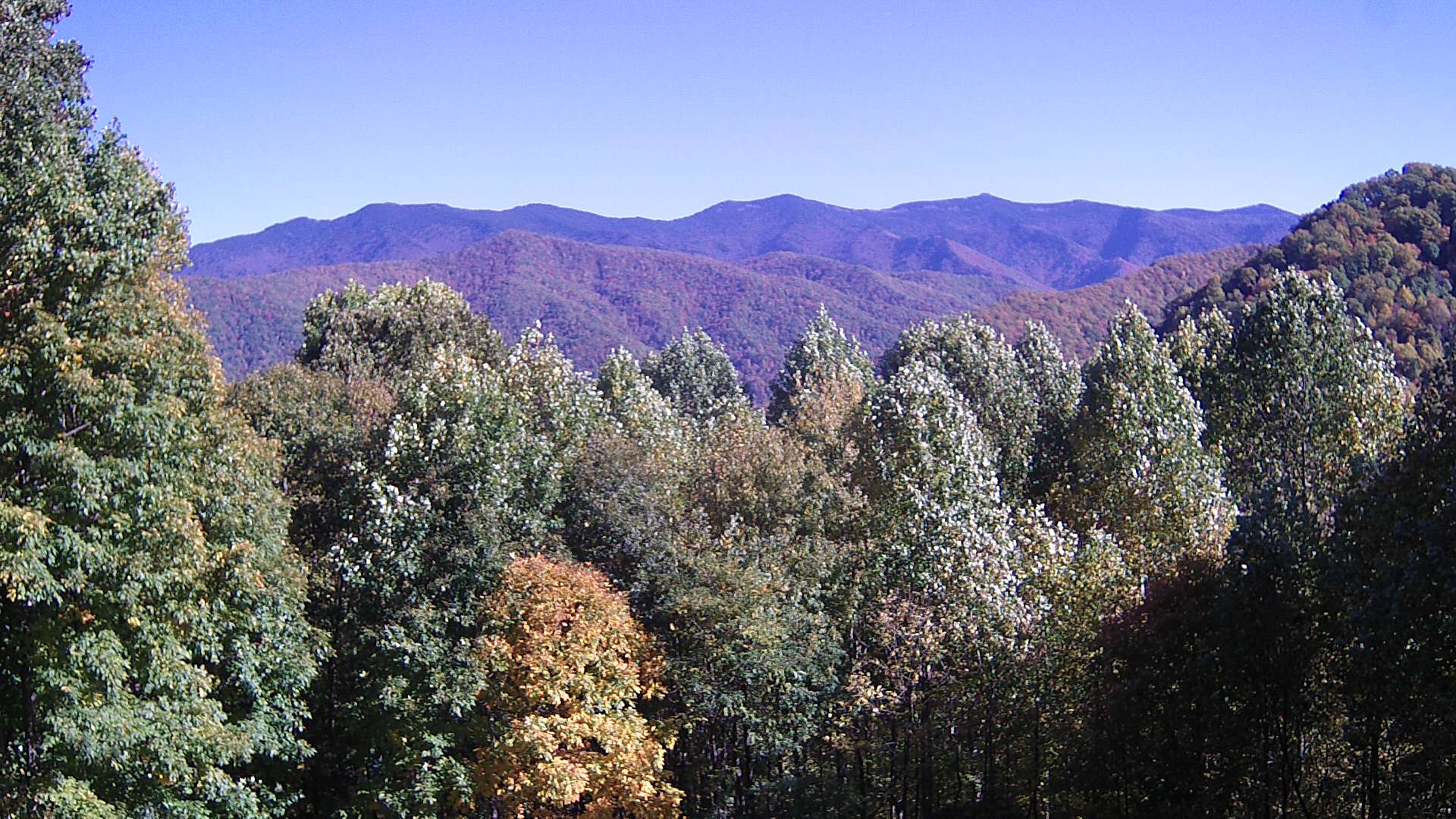 click for next image... slideshow image