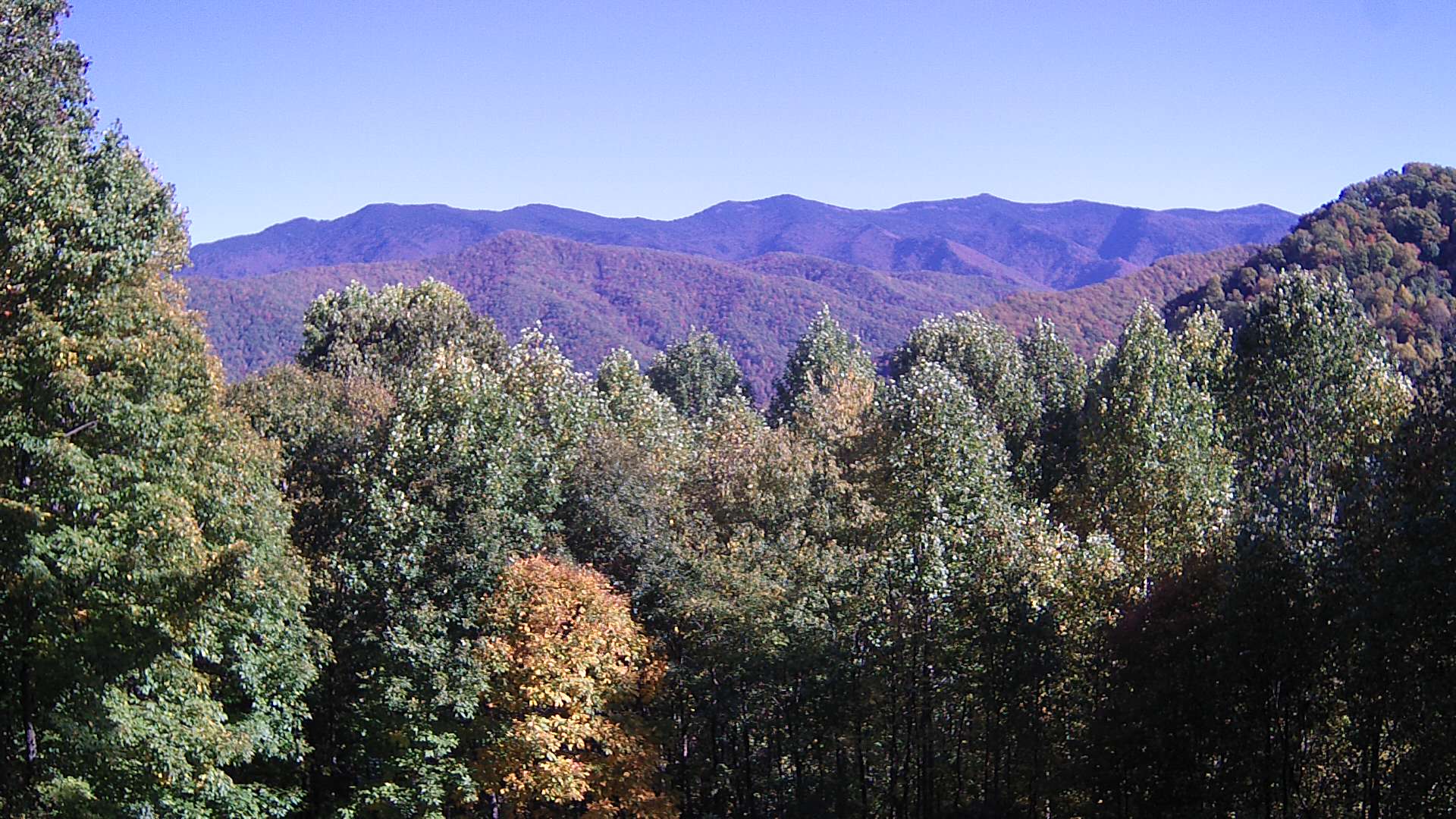 click for next image... slideshow image