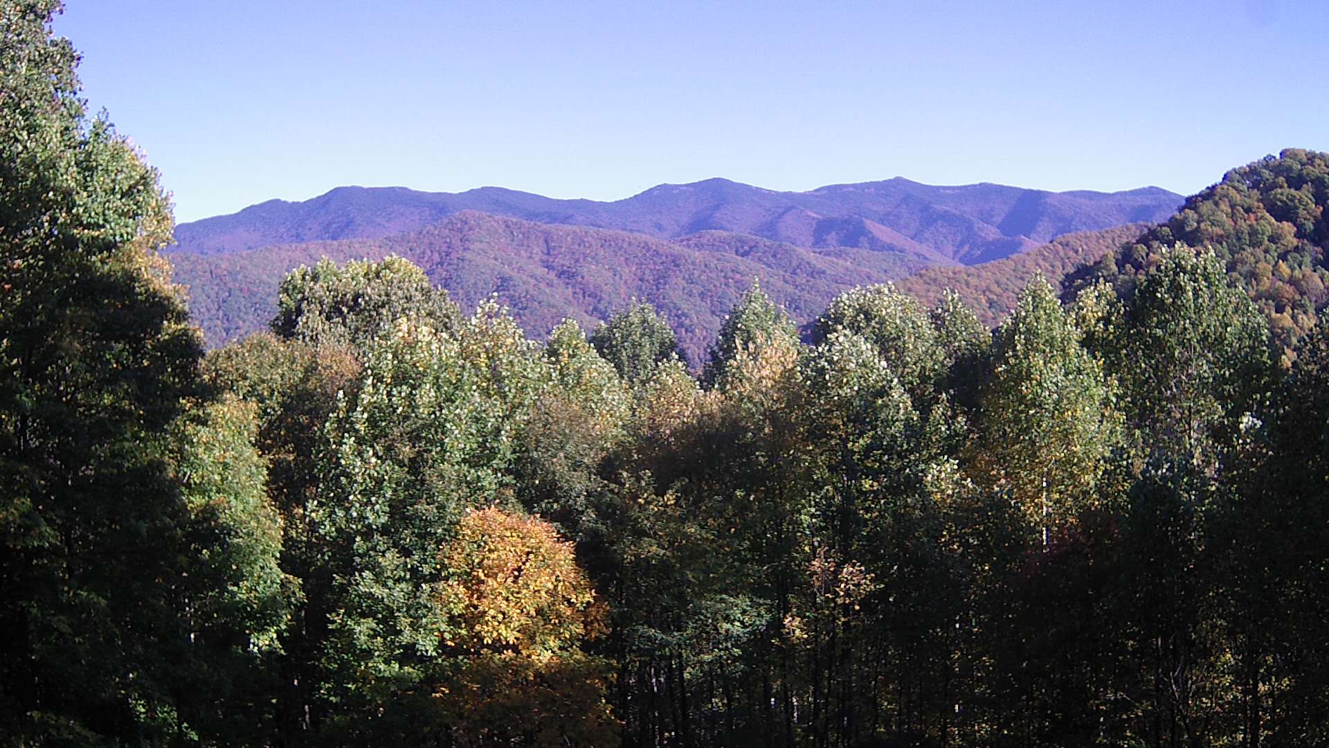 click for next image... slideshow image