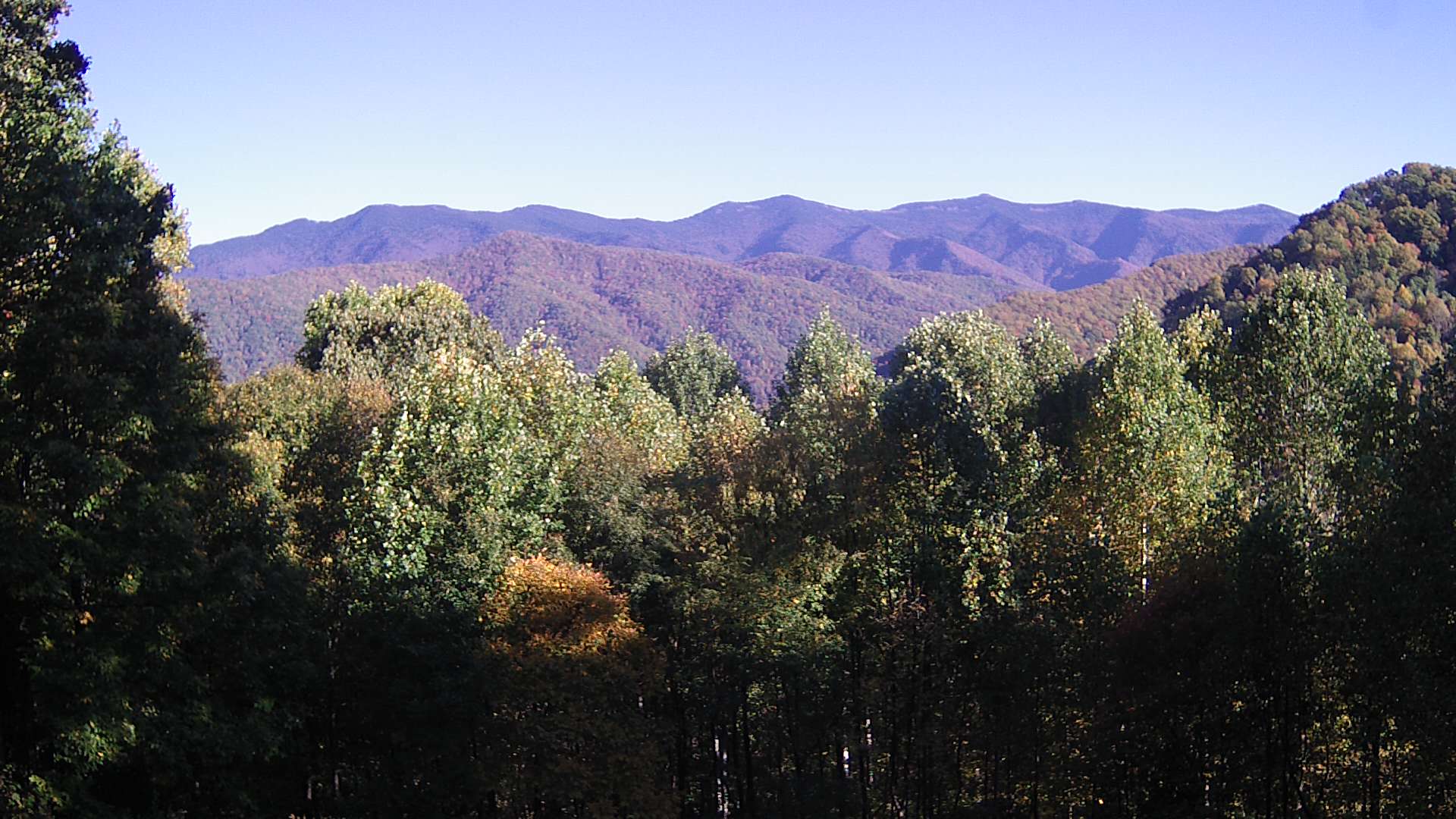 click for next image... slideshow image