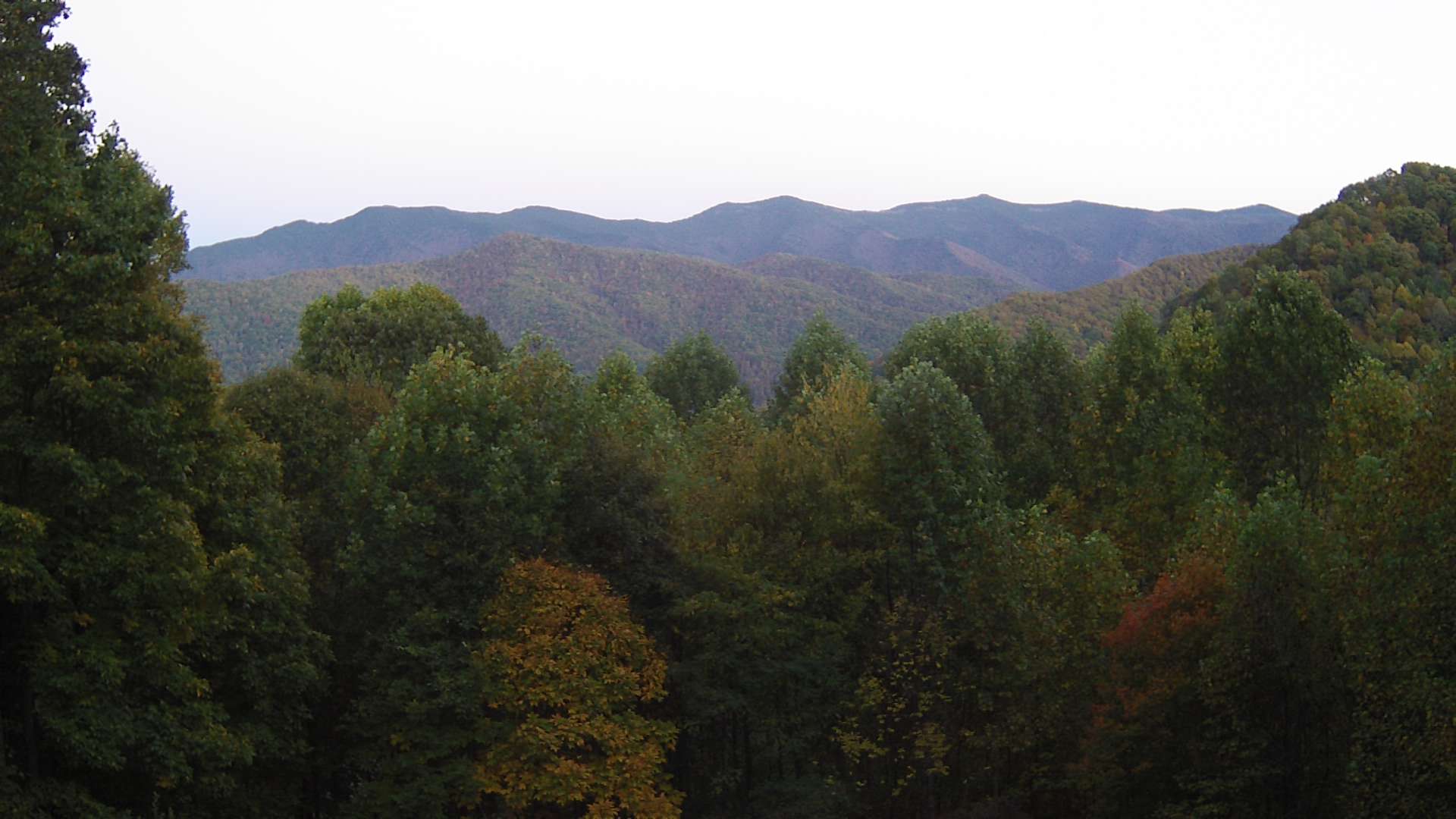 click for next image... slideshow image