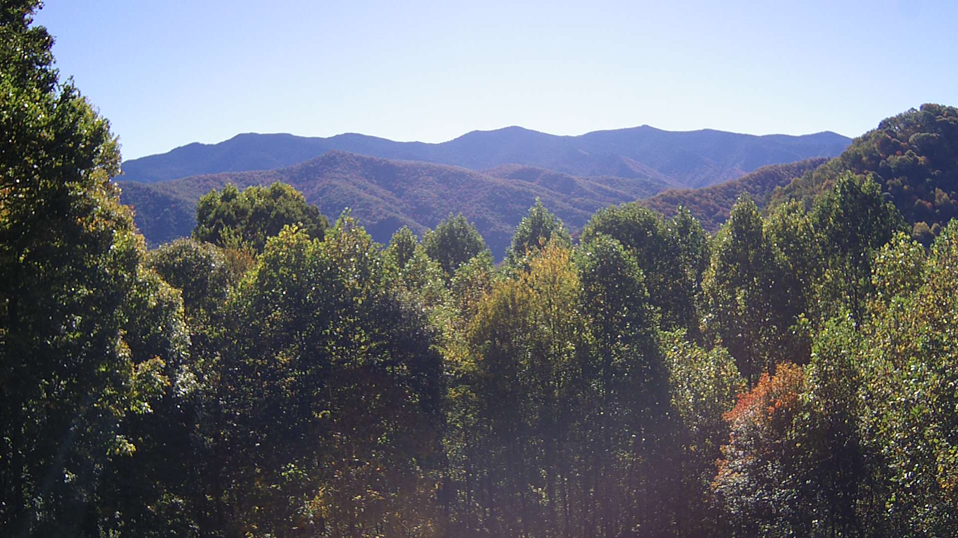 click for next image... slideshow image