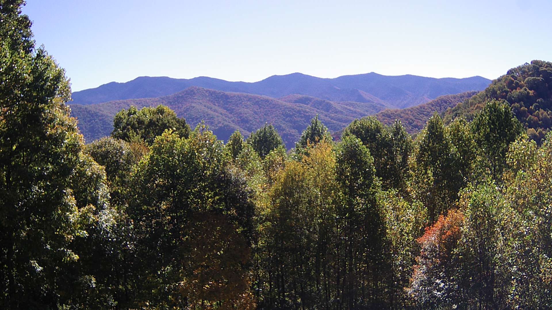 click for next image... slideshow image