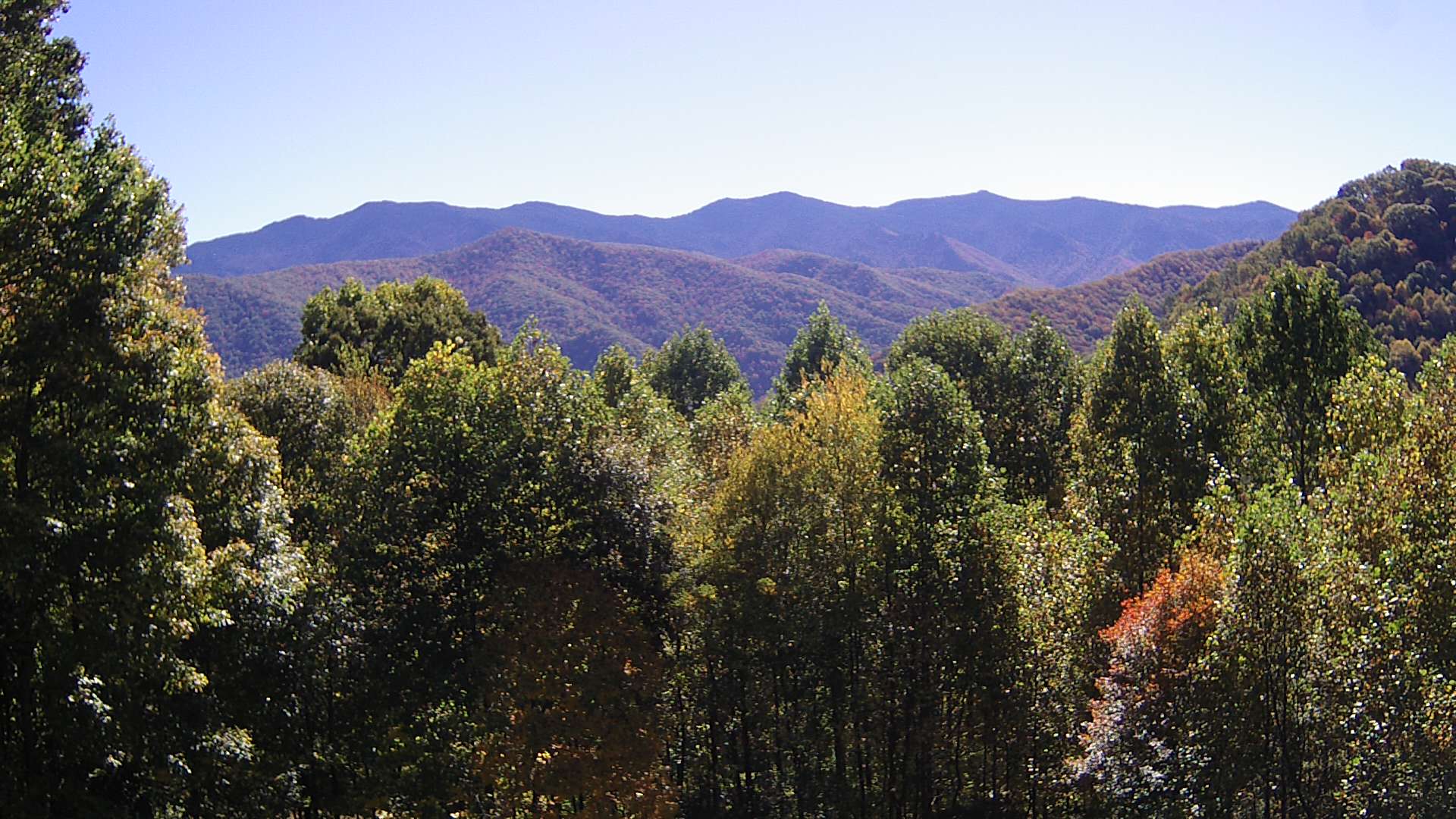 click for next image... slideshow image