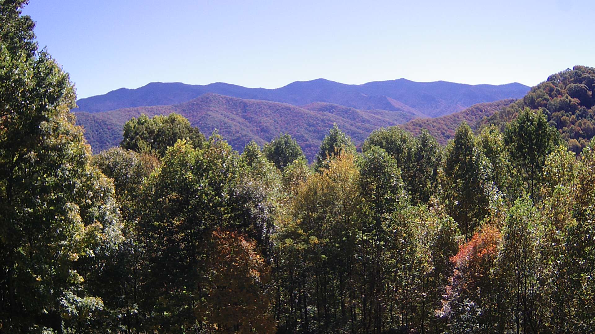 click for next image... slideshow image