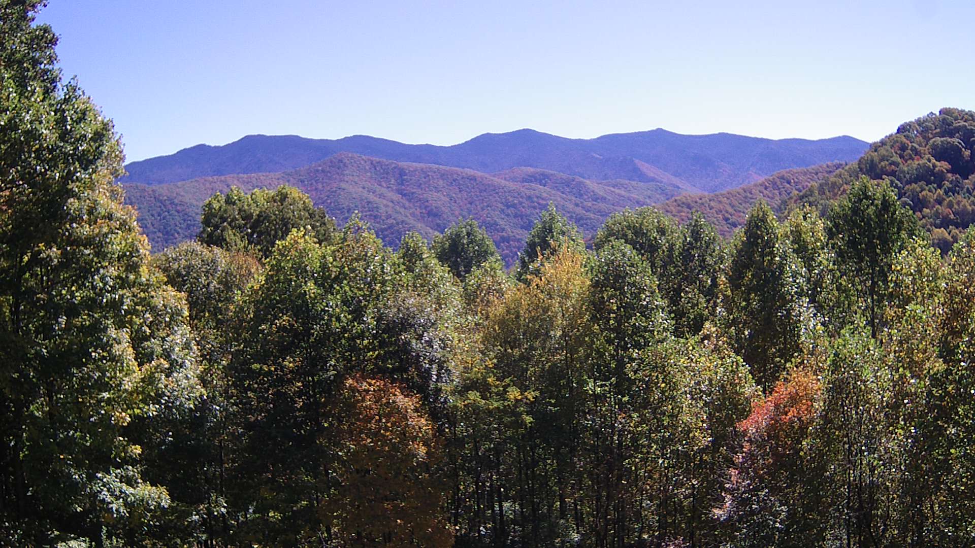 click for next image... slideshow image