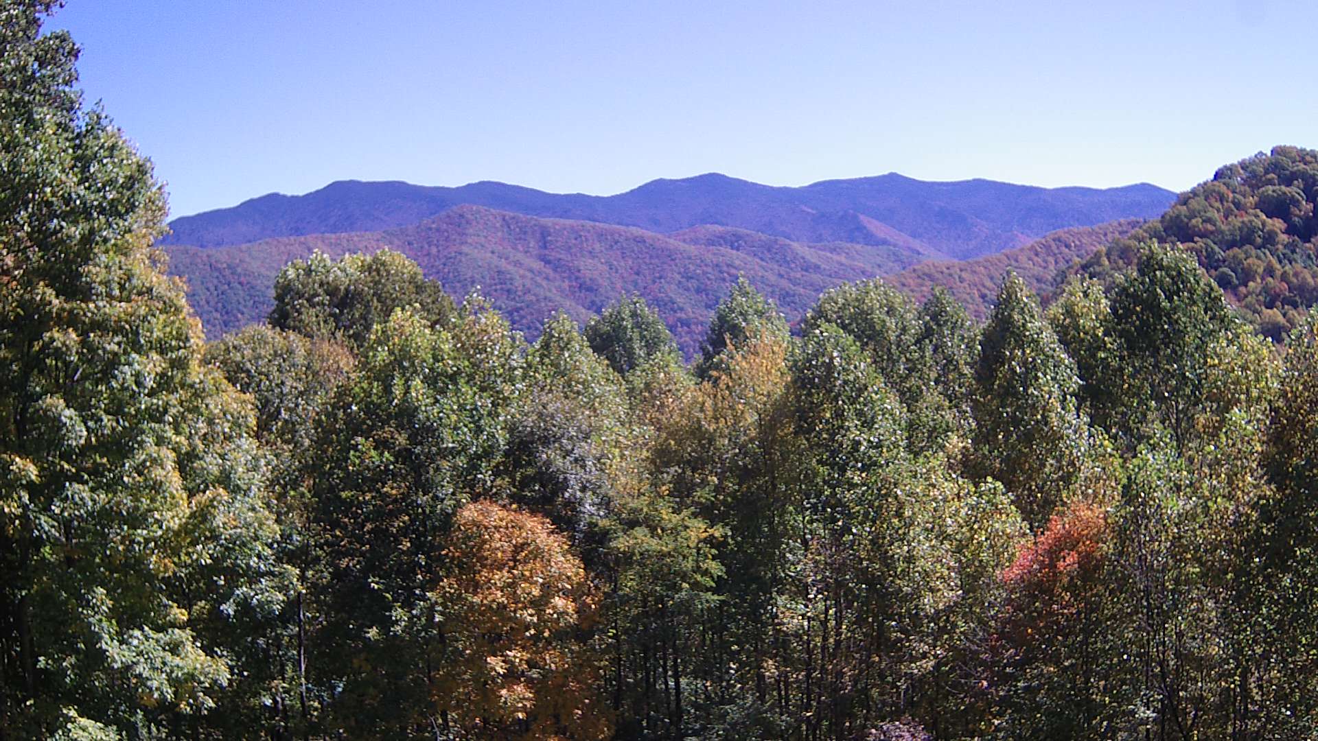 click for next image... slideshow image