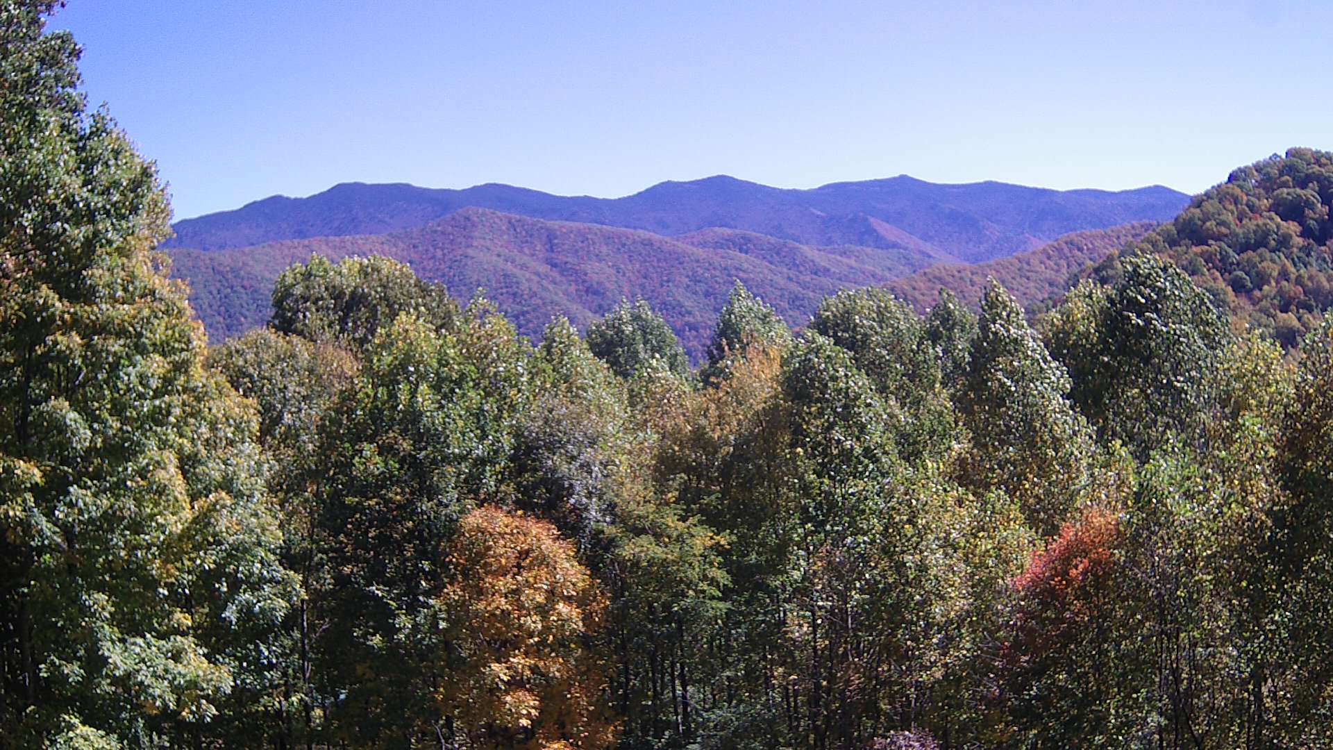 click for next image... slideshow image