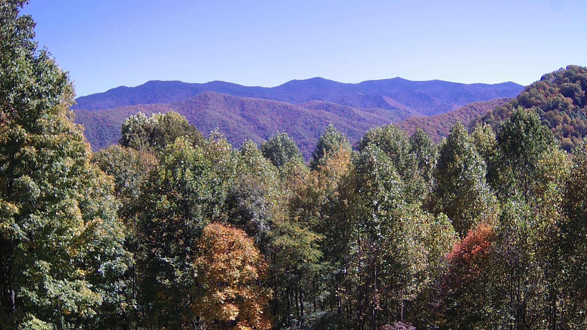 click for next image... slideshow image