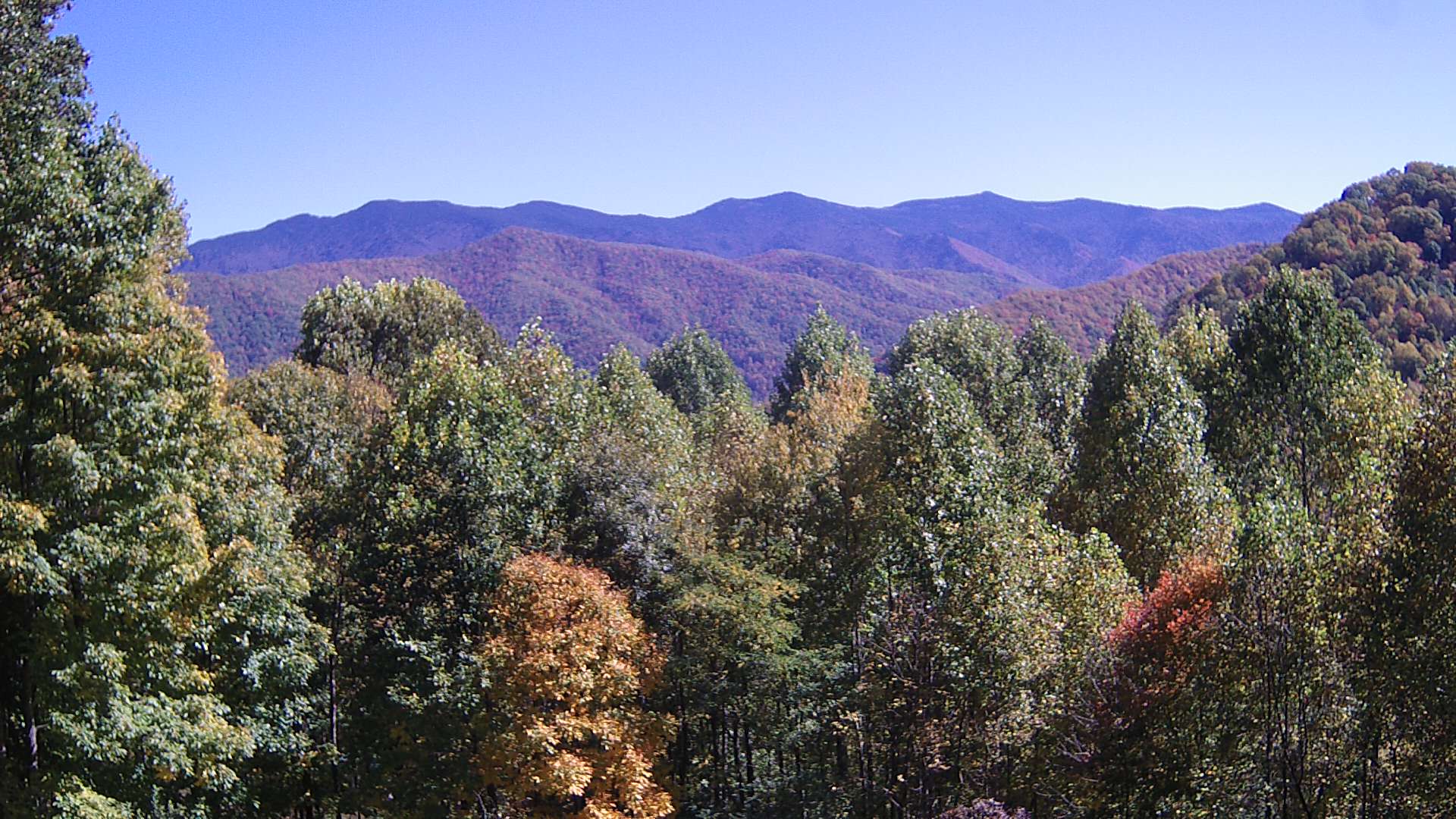 click for next image... slideshow image