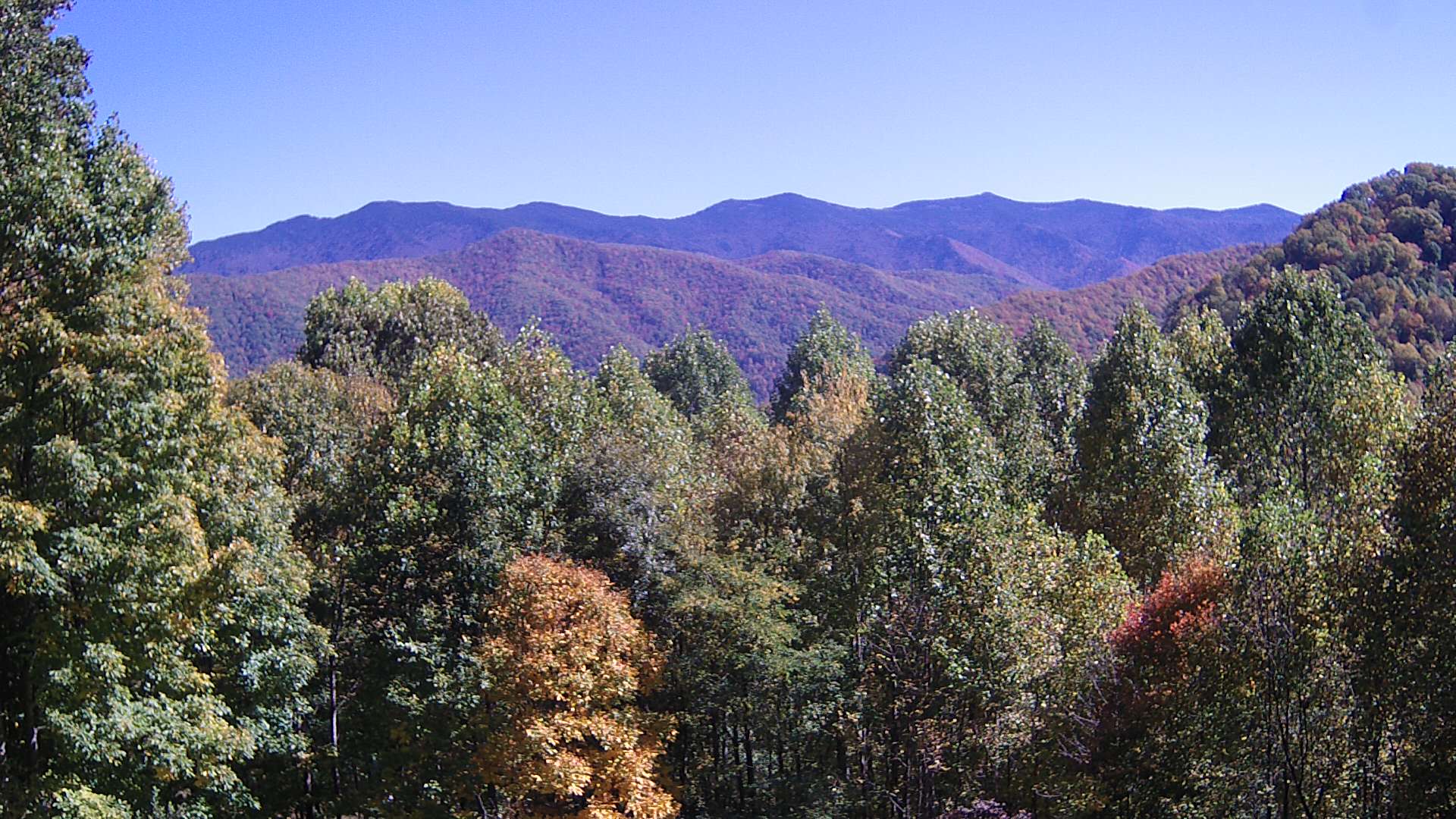 click for next image... slideshow image