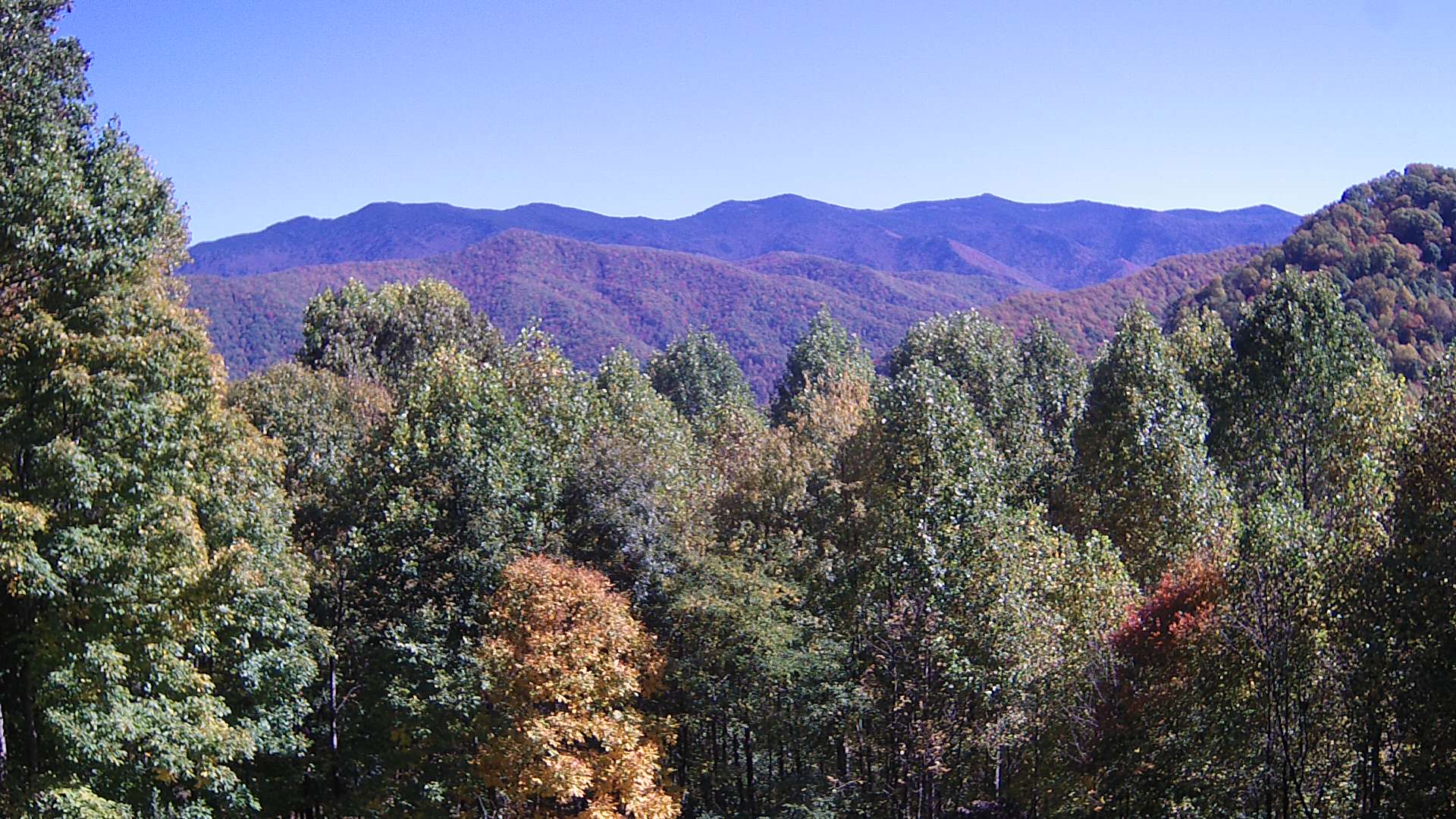 click for next image... slideshow image