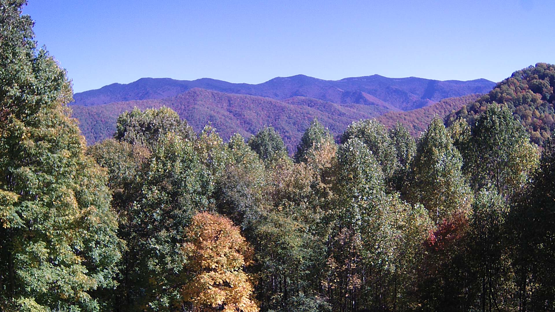 click for next image... slideshow image