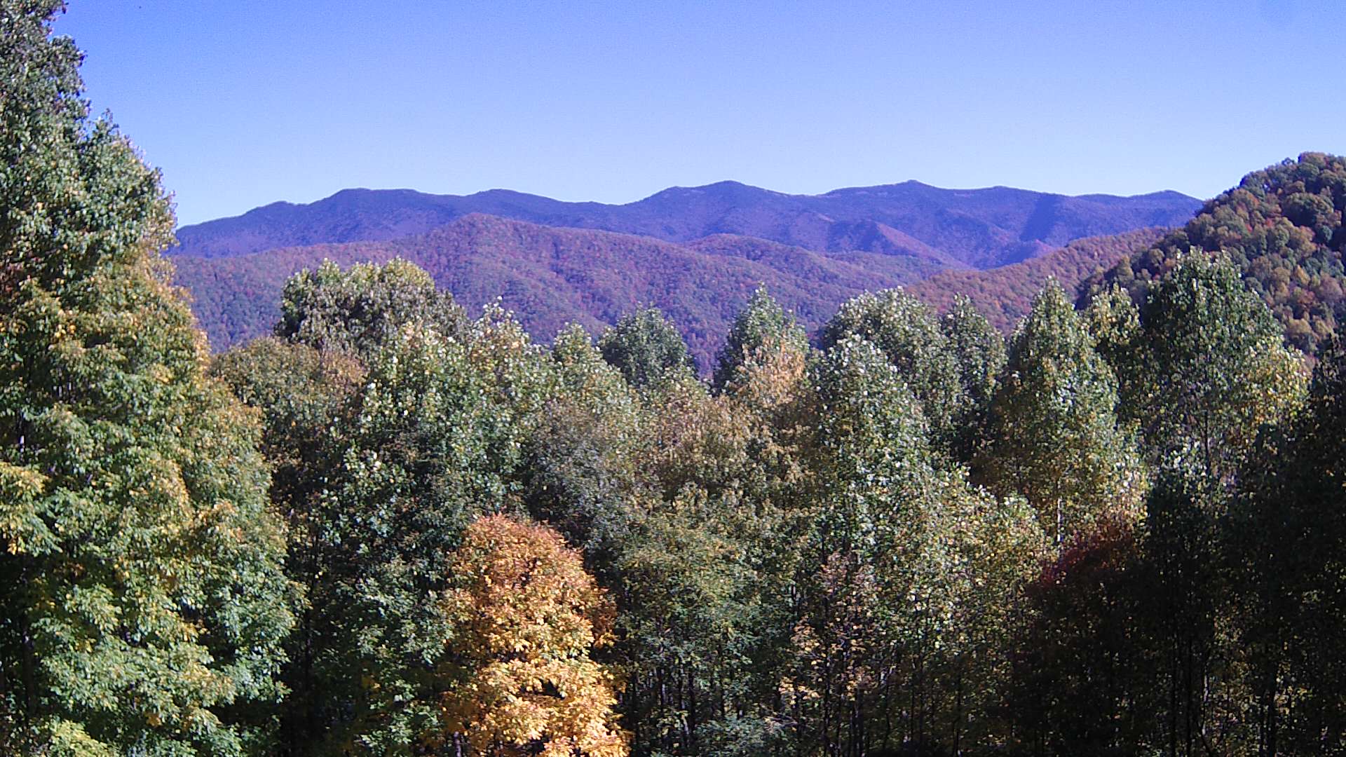 click for next image... slideshow image