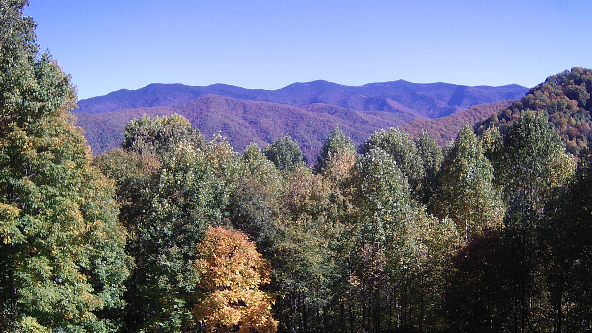 click for next image... slideshow image