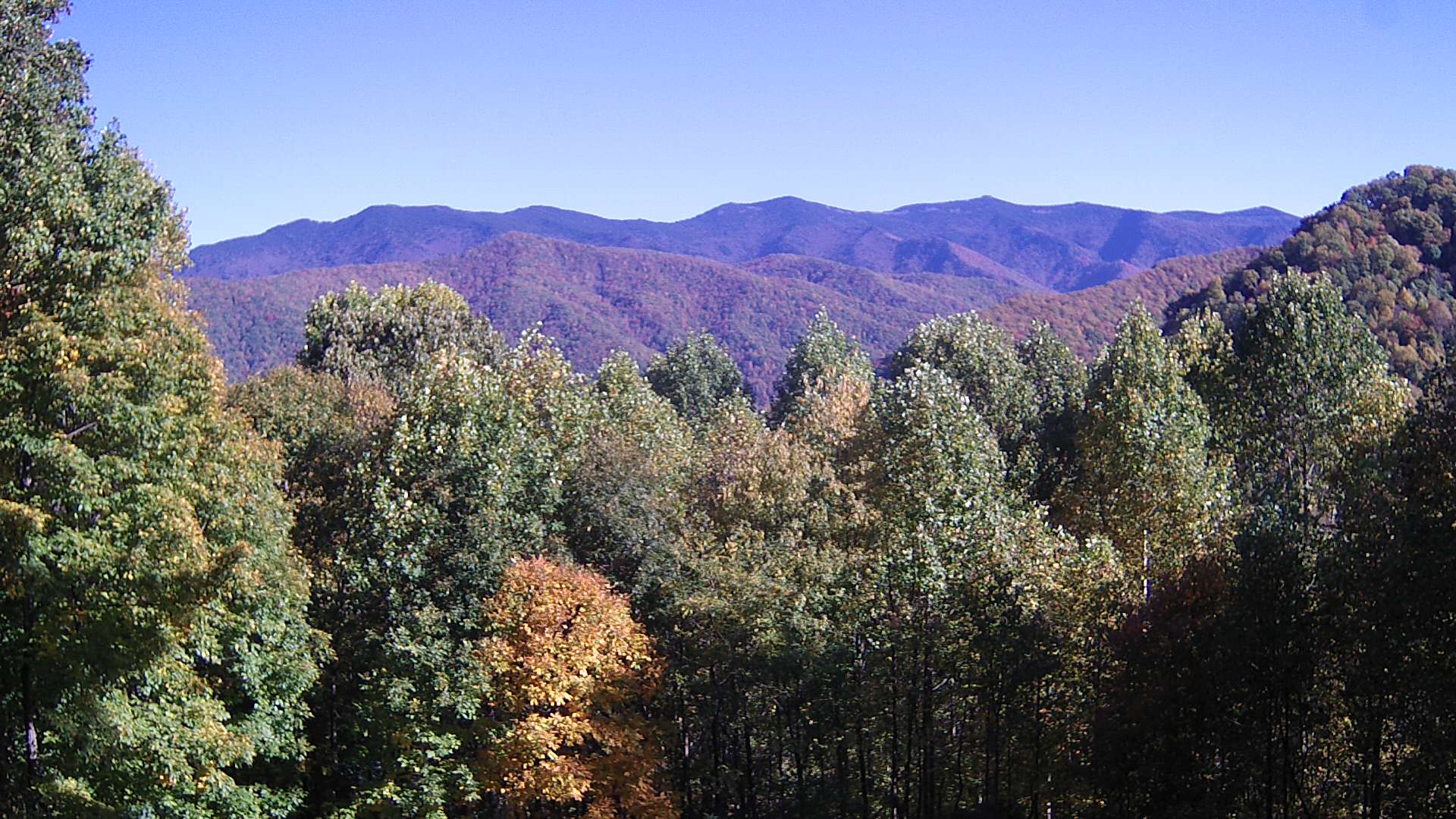 click for next image... slideshow image