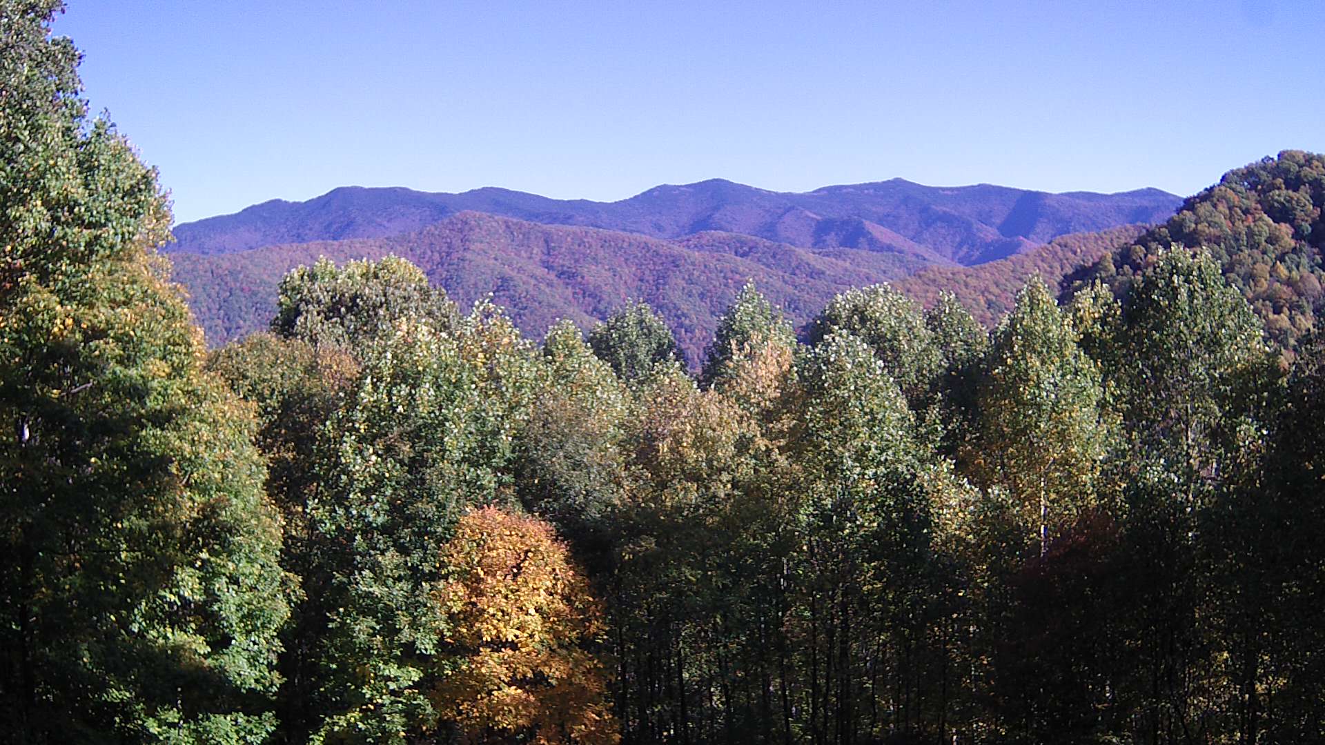 click for next image... slideshow image