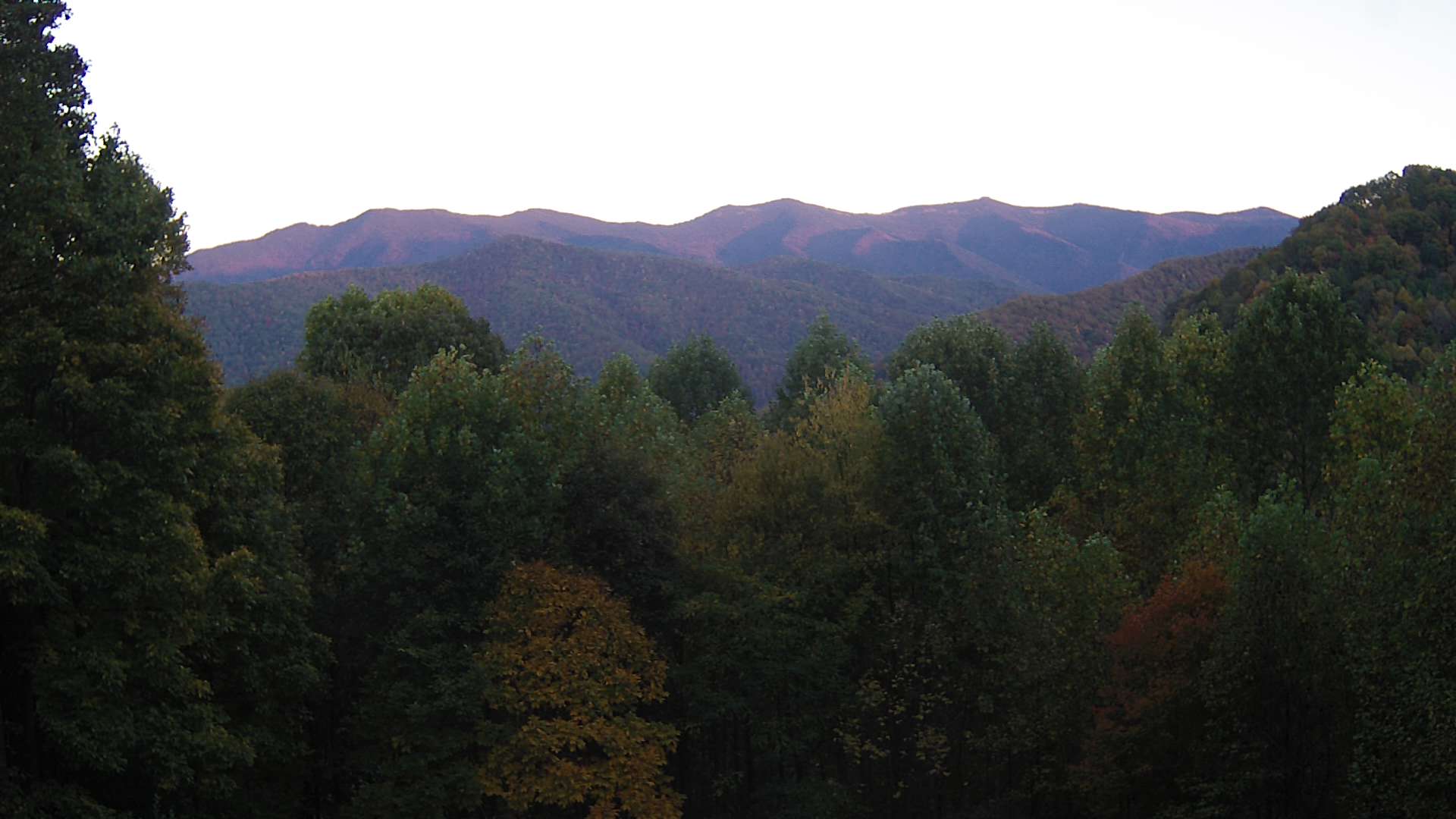 click for next image... slideshow image