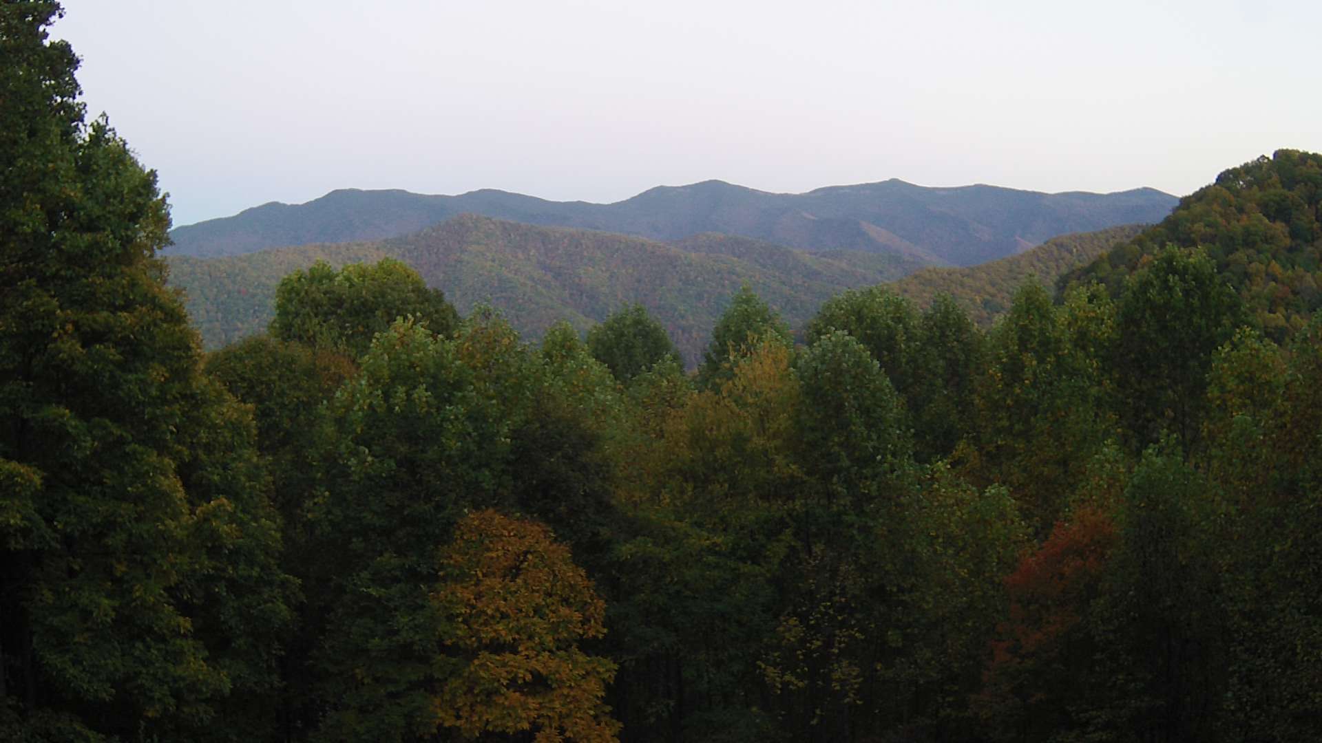 click for next image... slideshow image