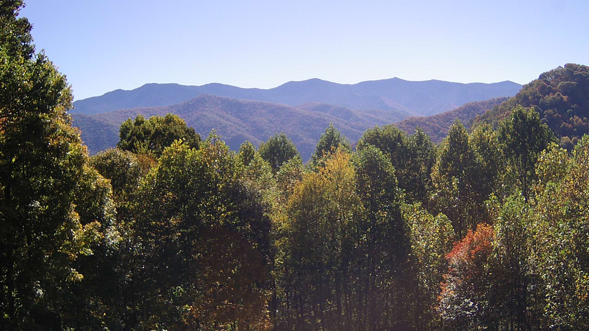 click for next image... slideshow image